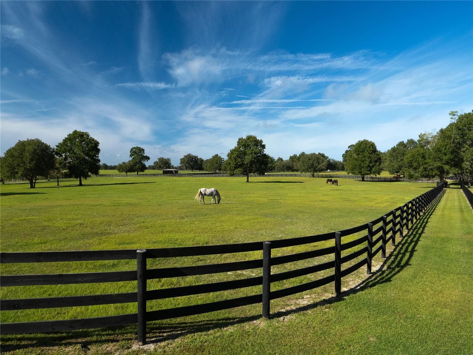 Farm at 2875 NW 150TH AVE, OCALA, photo 30 of 33