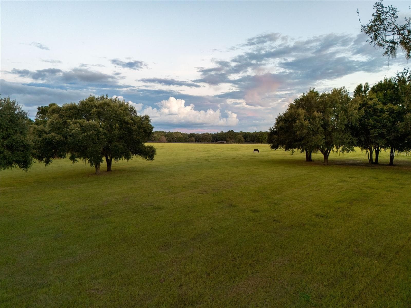Farm at 2875 NW 150TH AVE, OCALA, photo 32 of 33