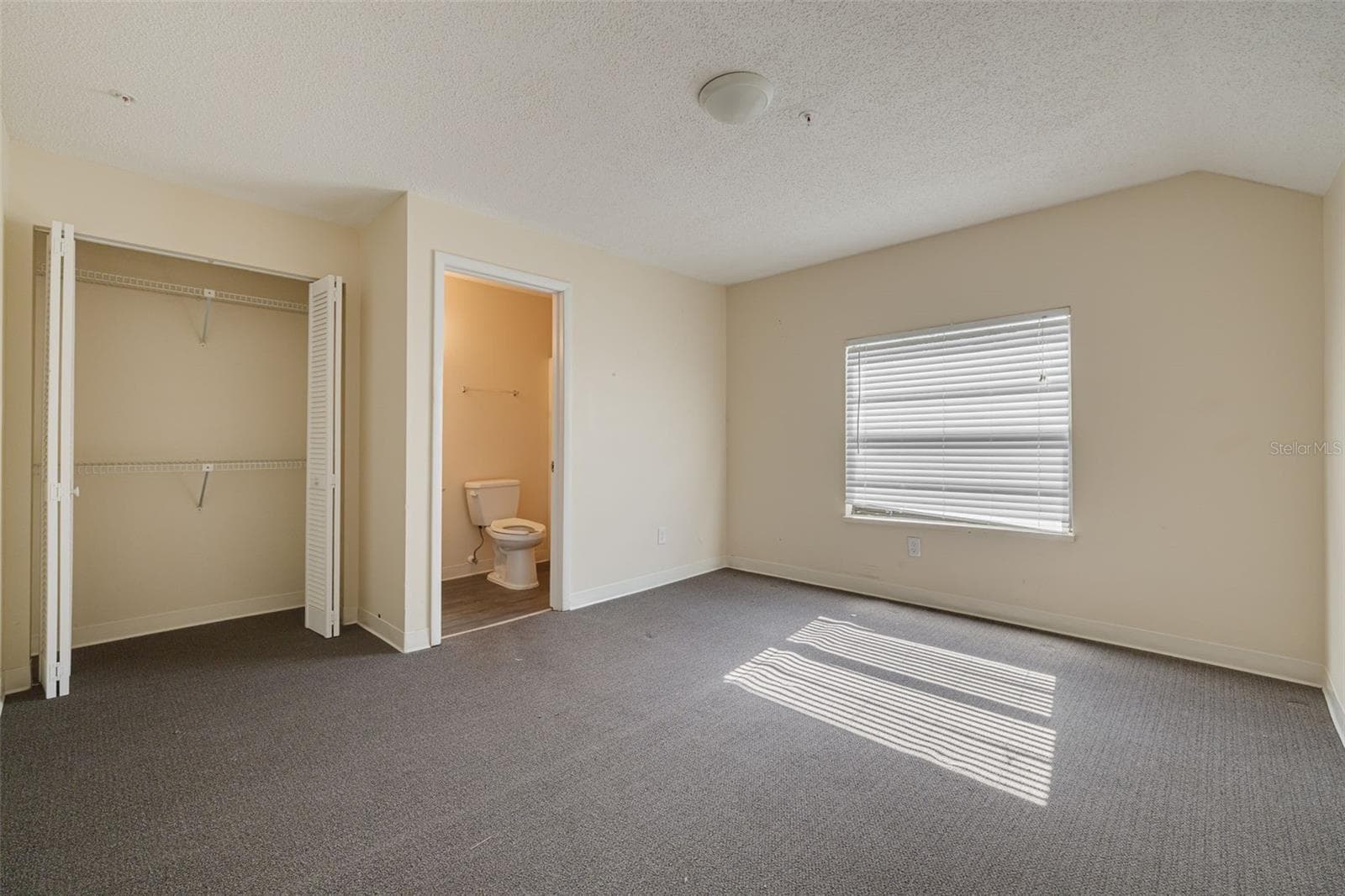 Business at 220 SCOTLAND ST, DUNEDIN, photo 26 of 45