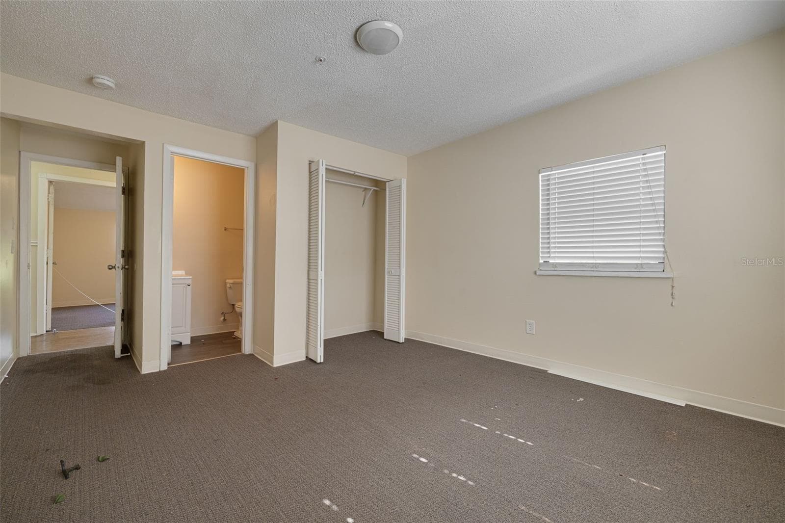 Business at 220 SCOTLAND ST, DUNEDIN, photo 35 of 45