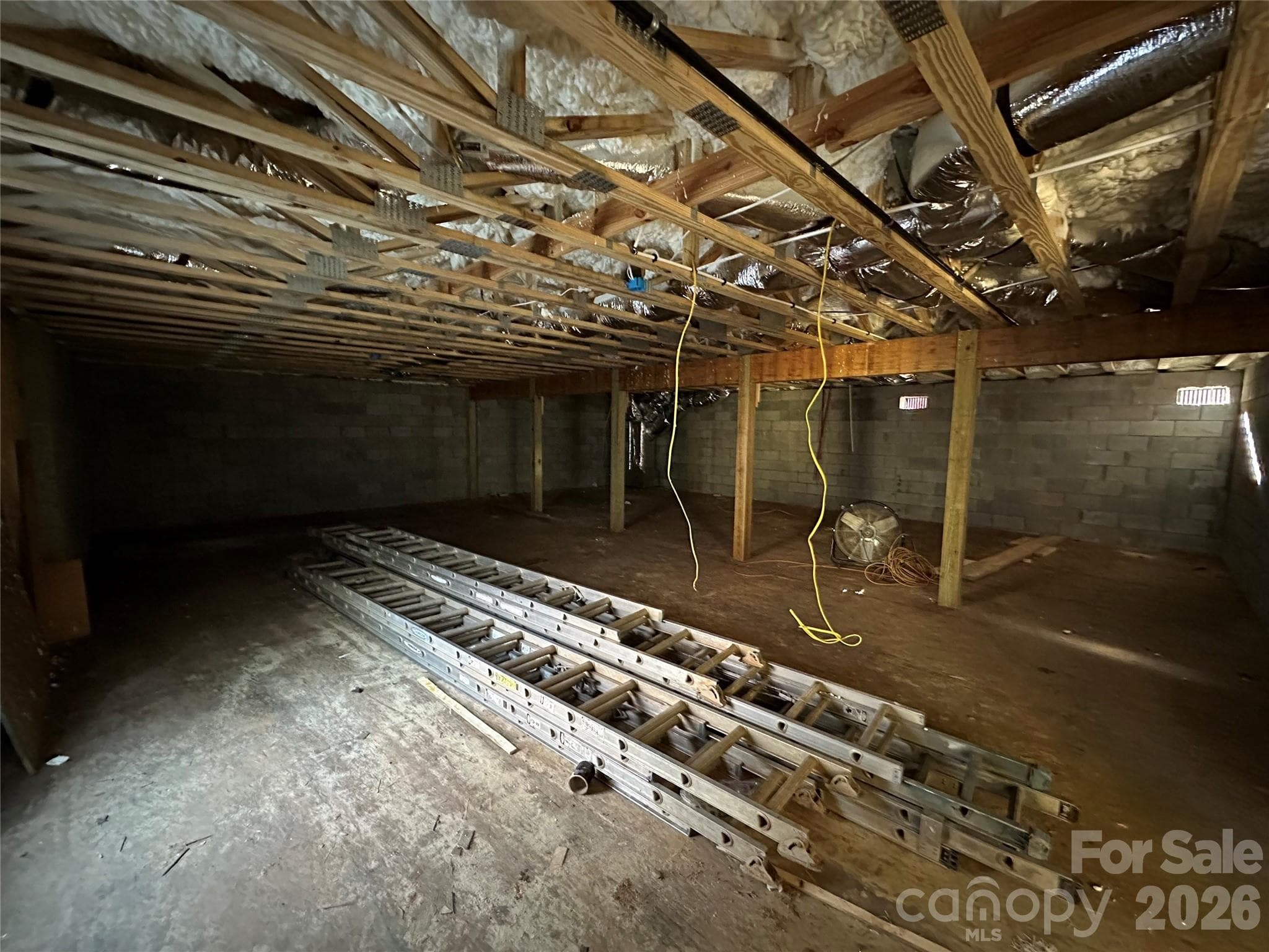 Unfinished basement area accessible from outside - Asheville