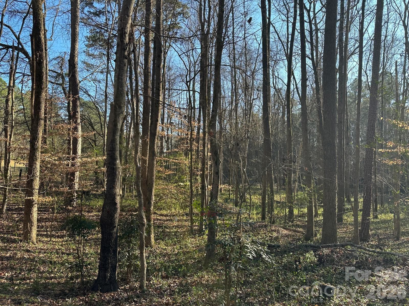 Acreage at Monroe, photo 2 of 14