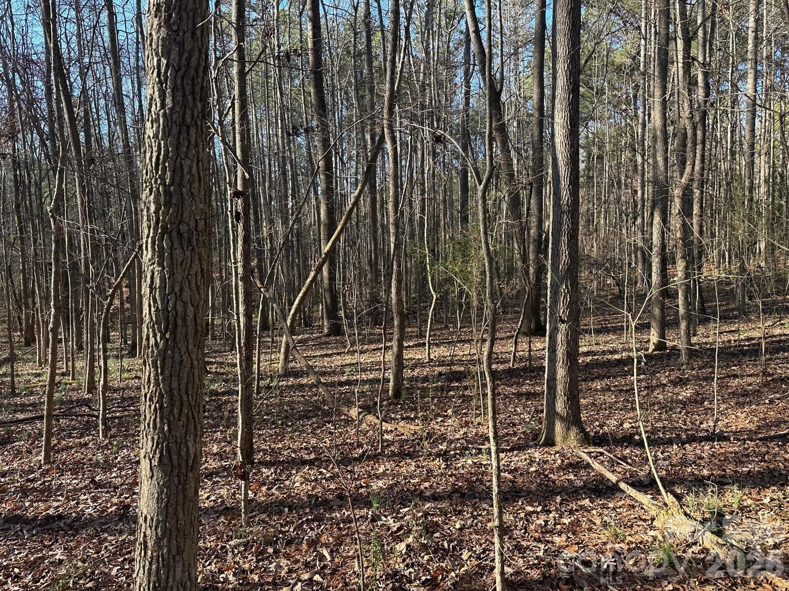 Acreage at Monroe, photo 3 of 14