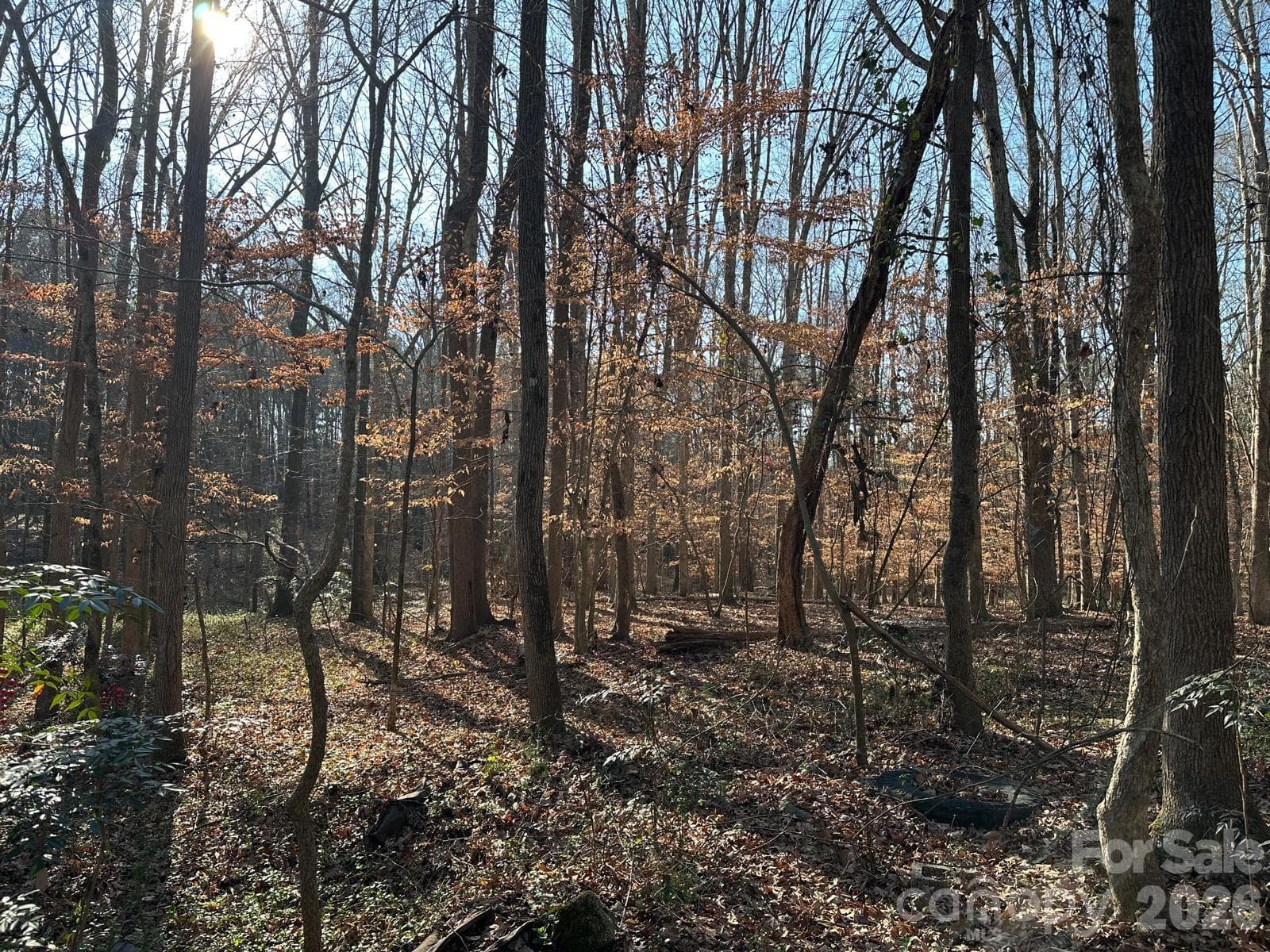 Acreage at Monroe, photo 4 of 14