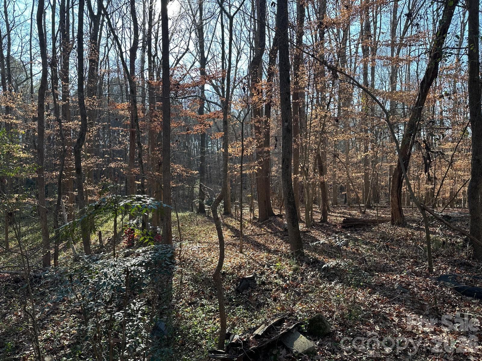 Acreage at Monroe, photo 5 of 14