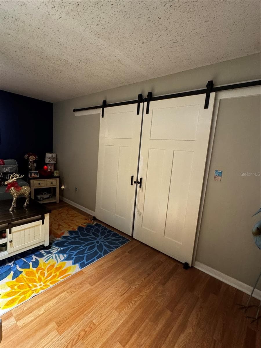 Living room barn doors - BELLEAIR PALMS TERRACE CONDO 2, BELLEAIR BLUFFS
