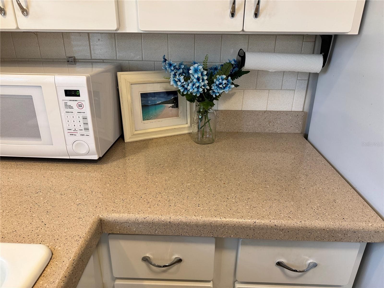 Counter Tops - 1826 SUNNY DR #D26, BRADENTON