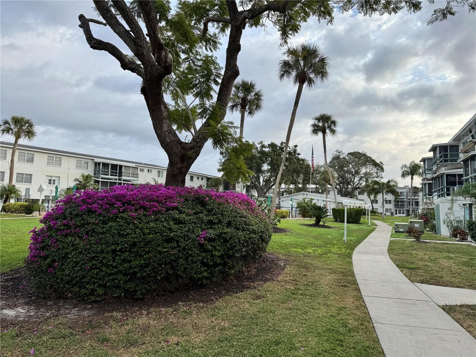 Court yard walking area - 1826 SUNNY DR #D26, BRADENTON