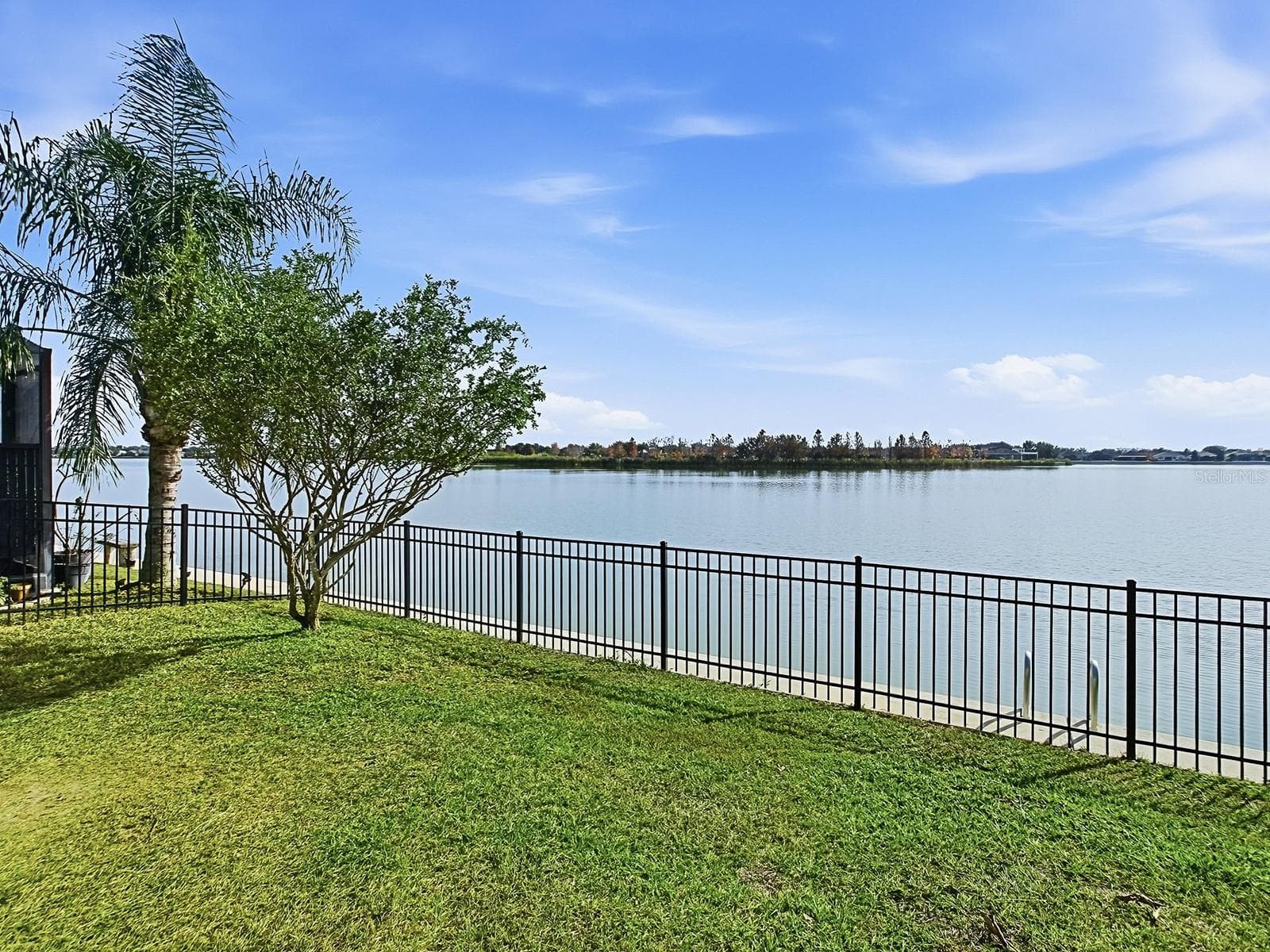 Private backyard with wrought iron fencing—perfect for family and pets. - 417 BLUE CYPRESS DR, GROVELAND