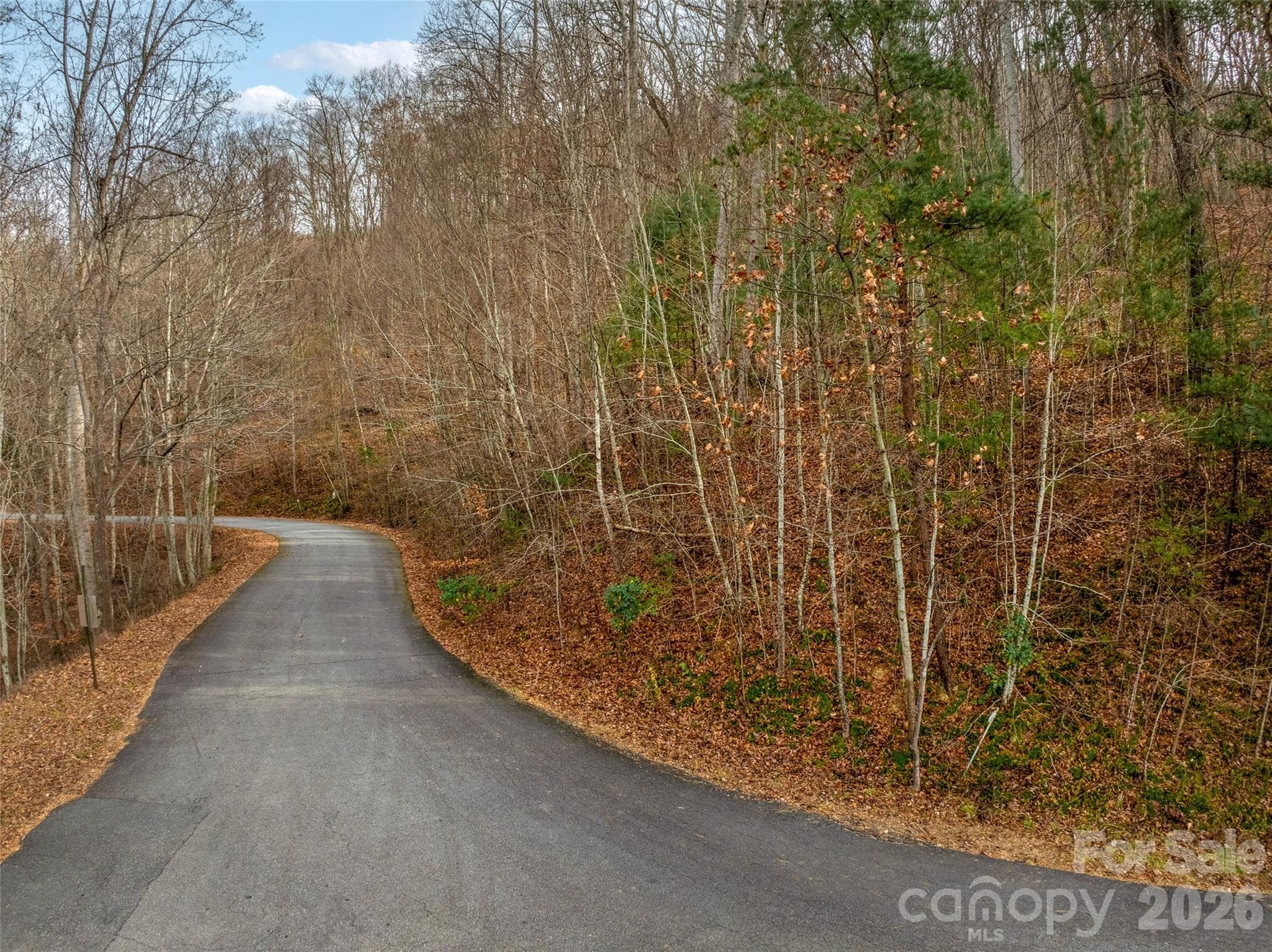 Road in front of property - 75 S Lindon Cove Road, Candler