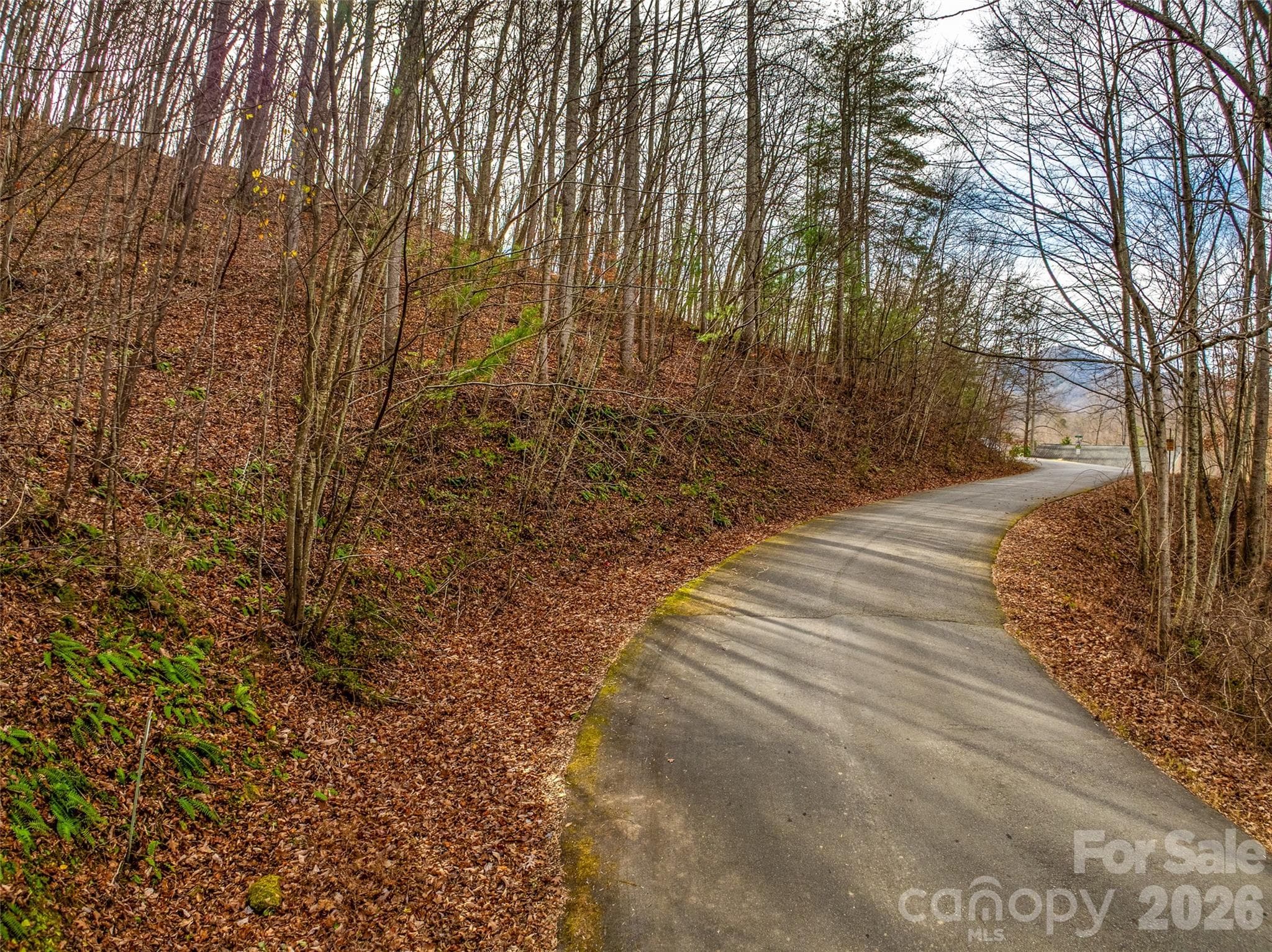 Lot at 75 S Lindon Cove Road, Candler, photo 14 of 15