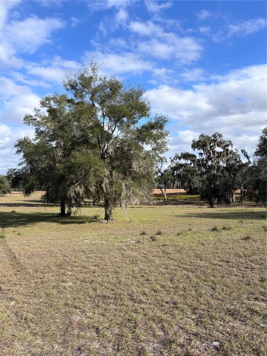 Land at TBD NW 127 CT, OCALA, photo 4 of 17