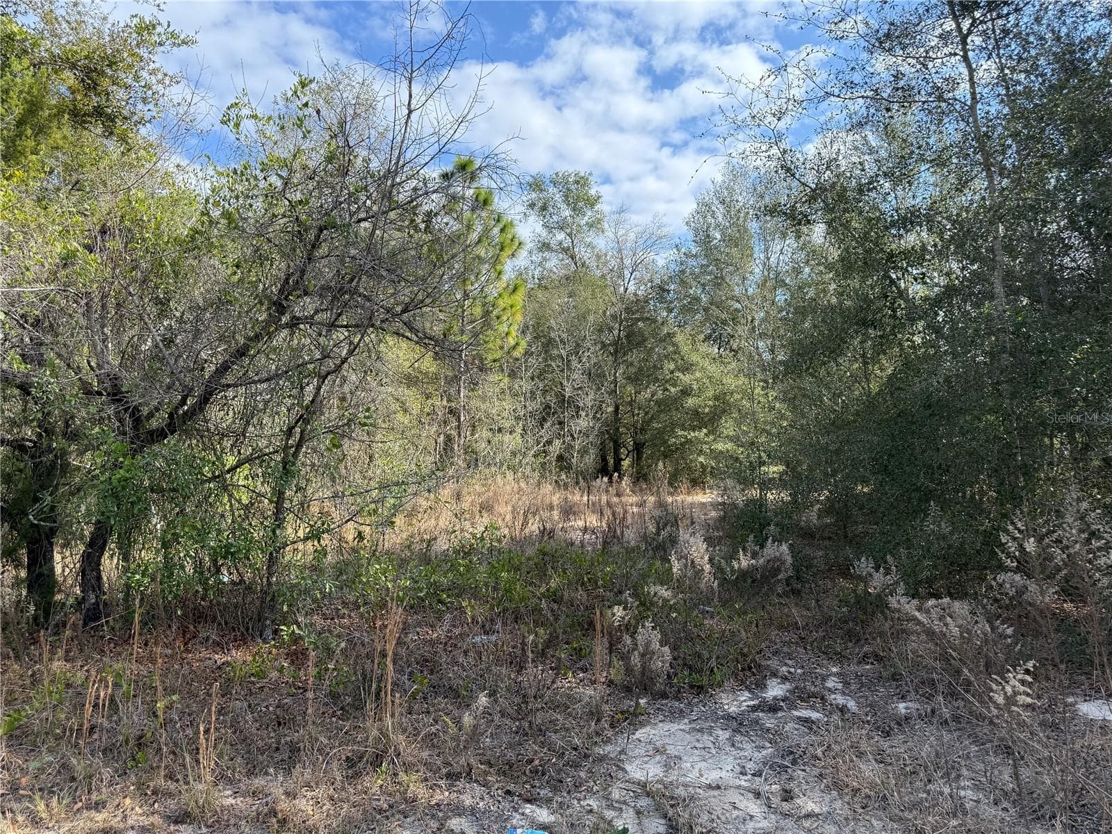 Land at SE 92ND CT, BELLEVIEW, photo 7 of 17