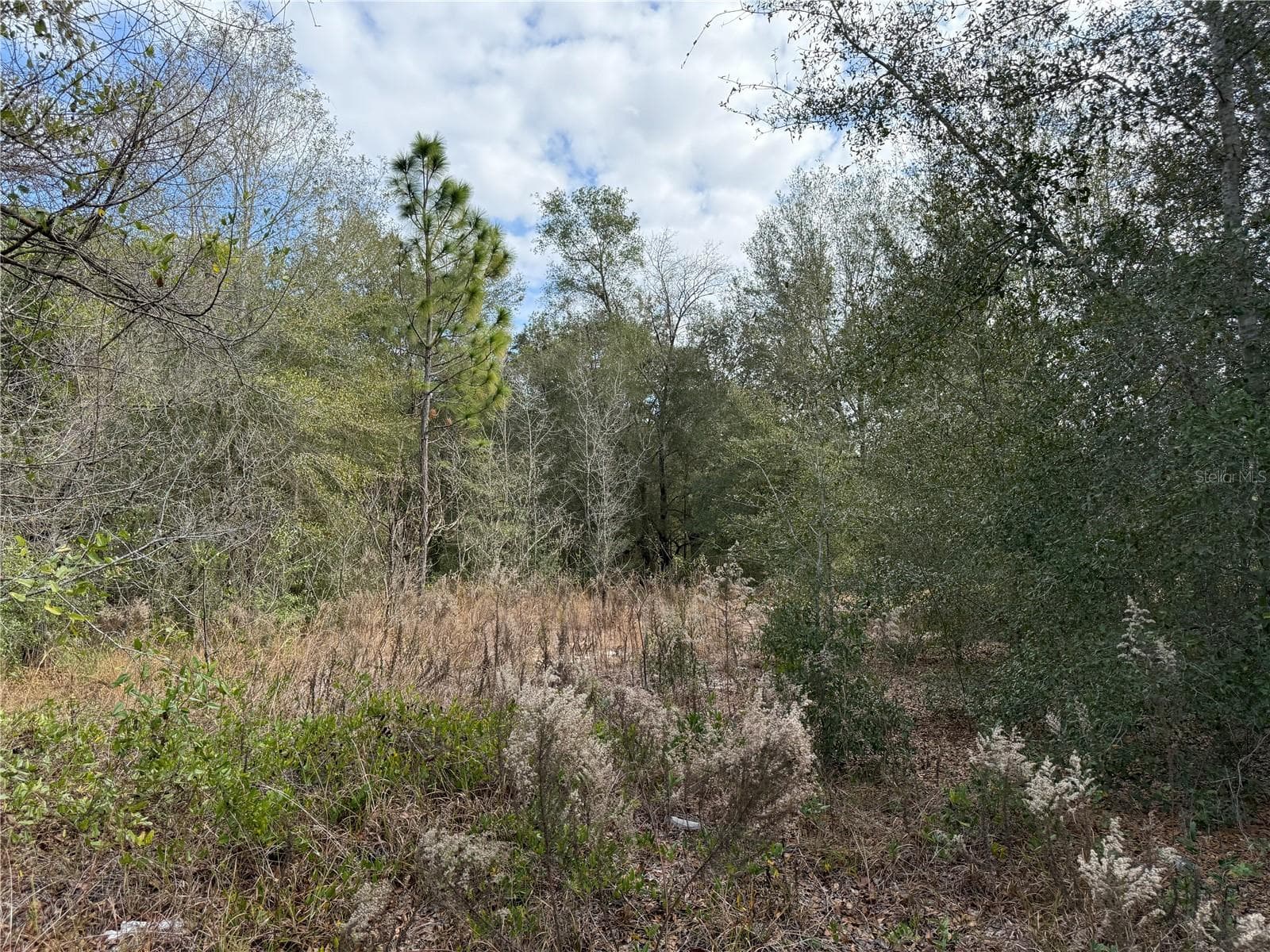 Land at SE 92ND CT, BELLEVIEW, photo 8 of 17