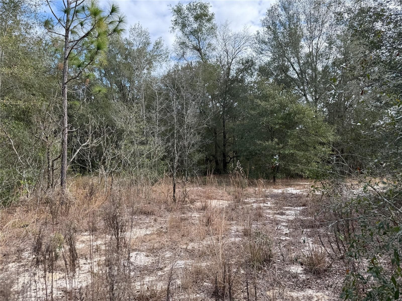 Land at SE 92ND CT, BELLEVIEW, photo 9 of 17