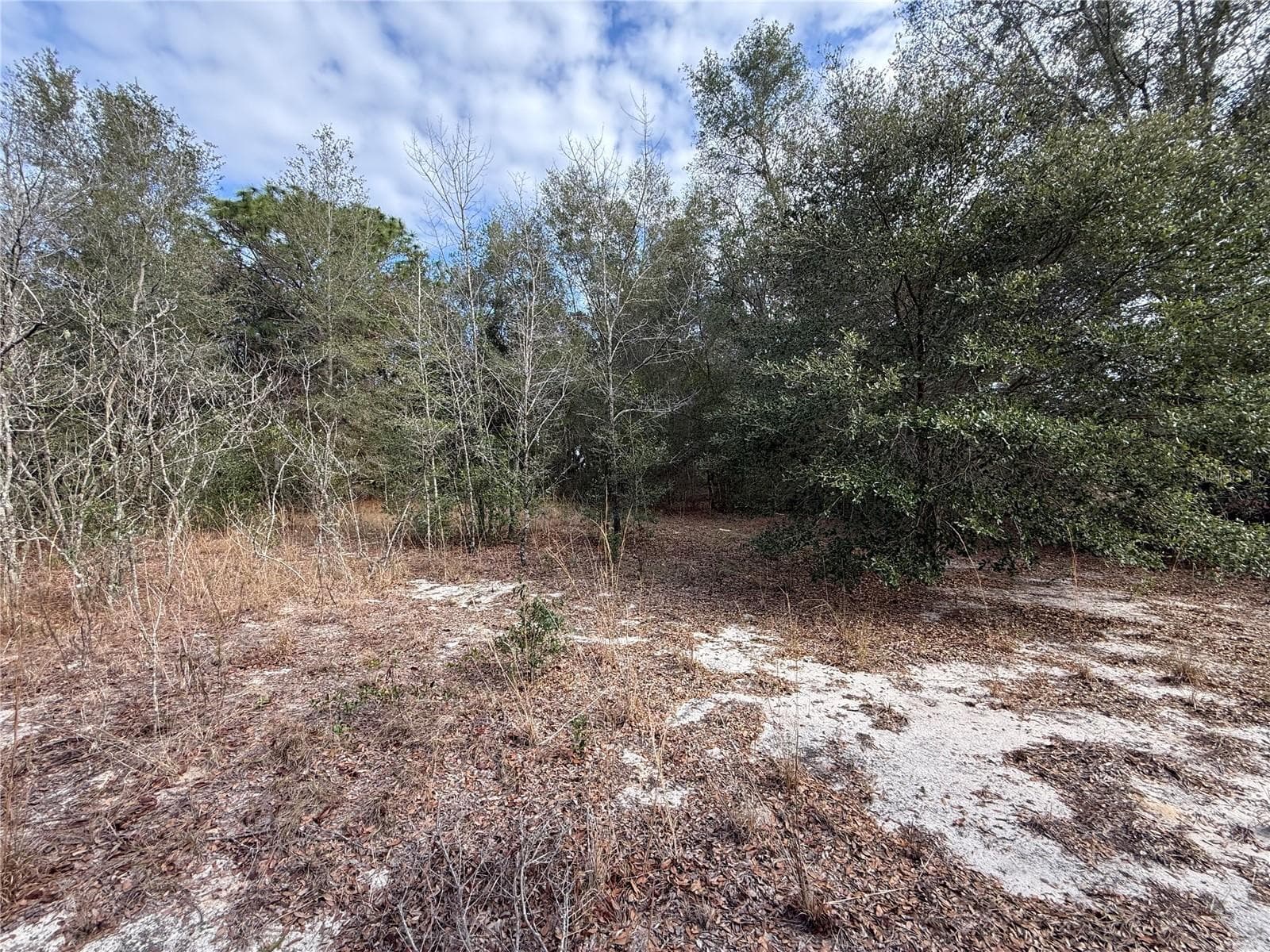 Land at SE 92ND CT, BELLEVIEW, photo 10 of 17