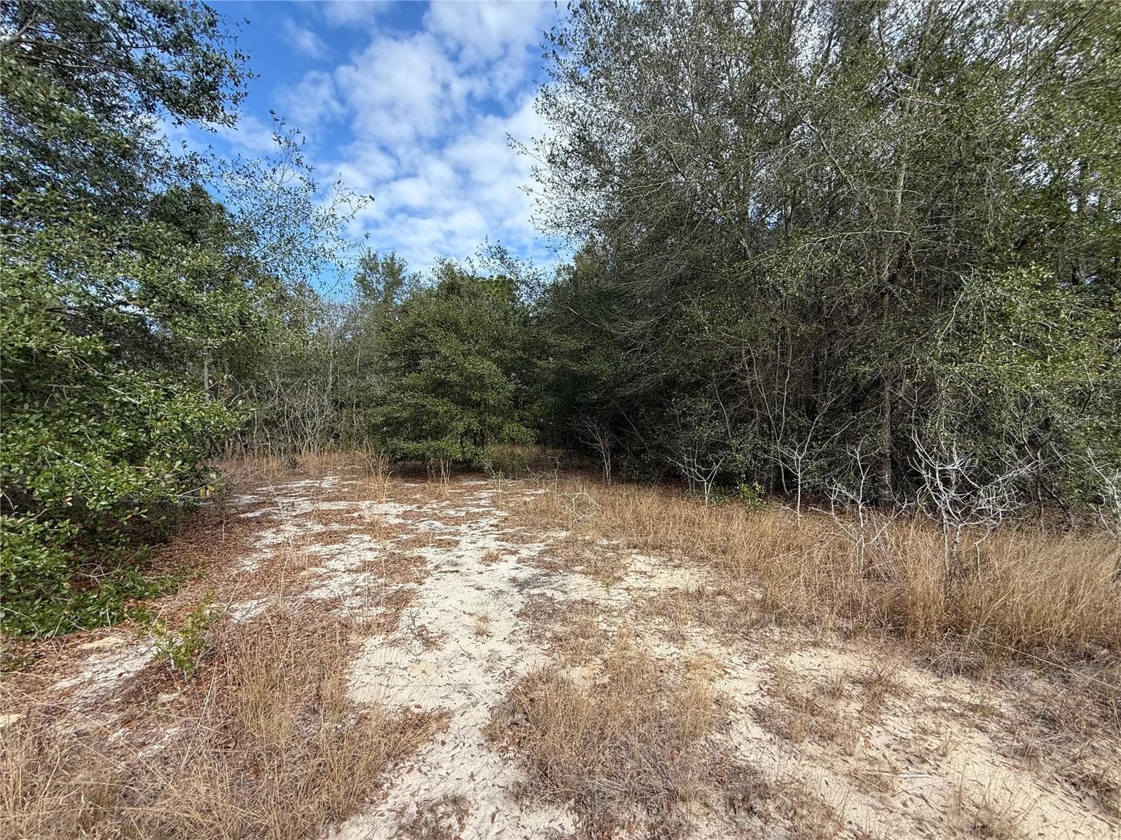 Land at SE 92ND CT, BELLEVIEW, photo 6 of 17
