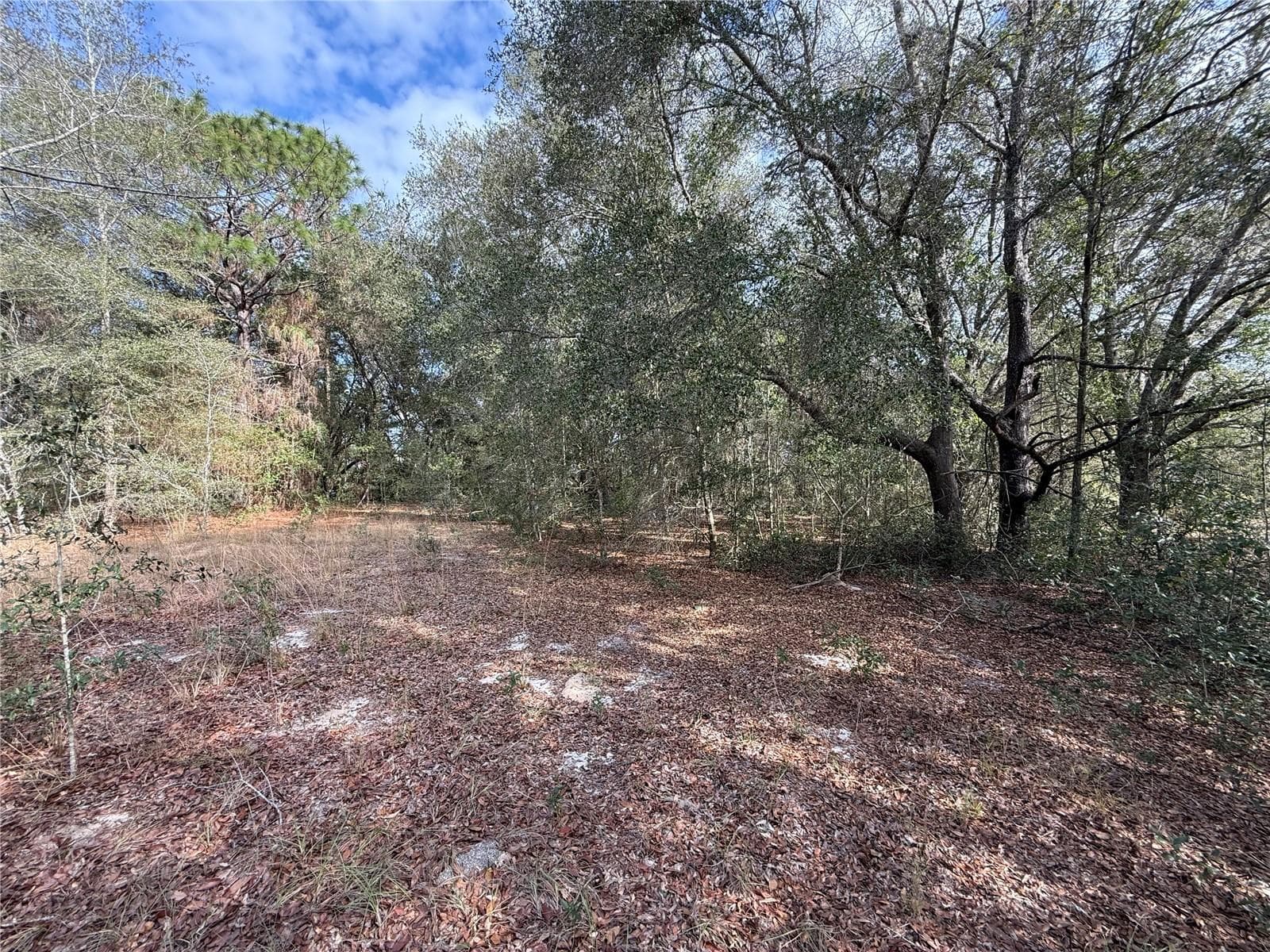 Land at SE 92ND CT, BELLEVIEW, photo 11 of 17