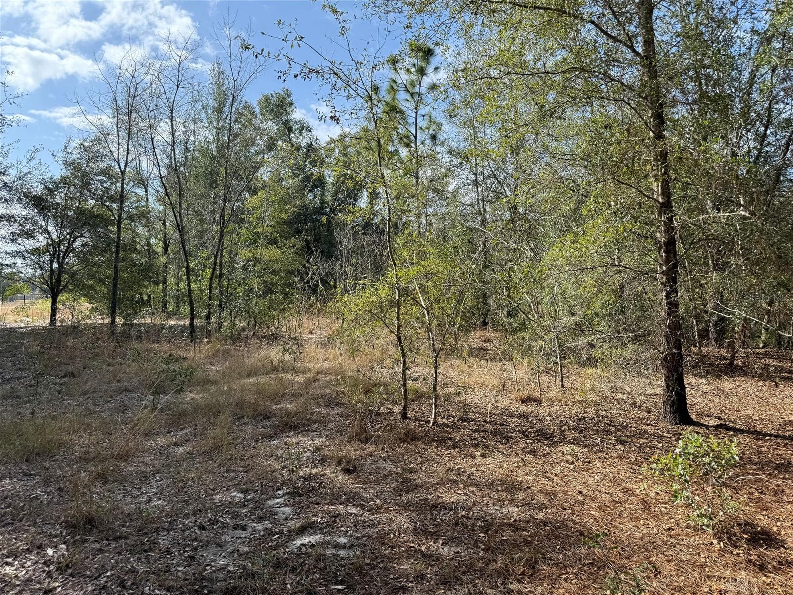 Land at SE 92ND CT, BELLEVIEW, photo 4 of 17