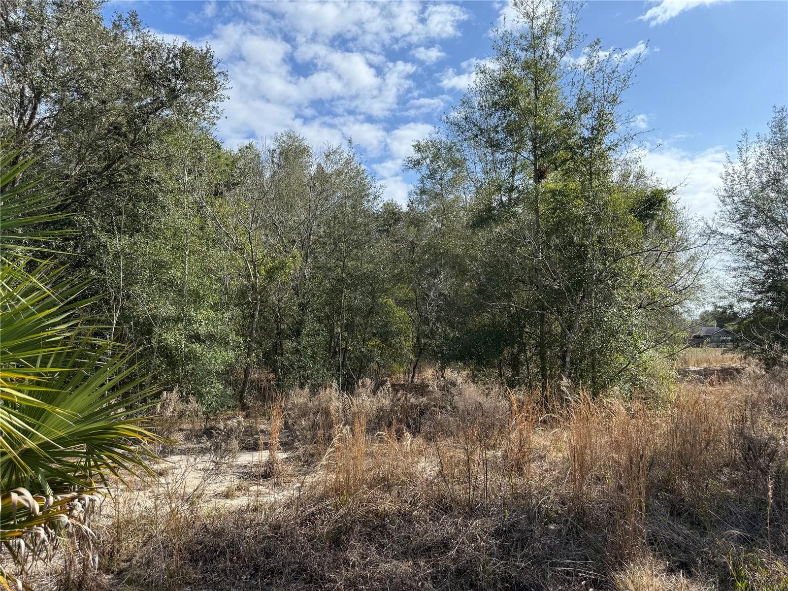 Land at SE 92ND CT, BELLEVIEW, photo 14 of 17