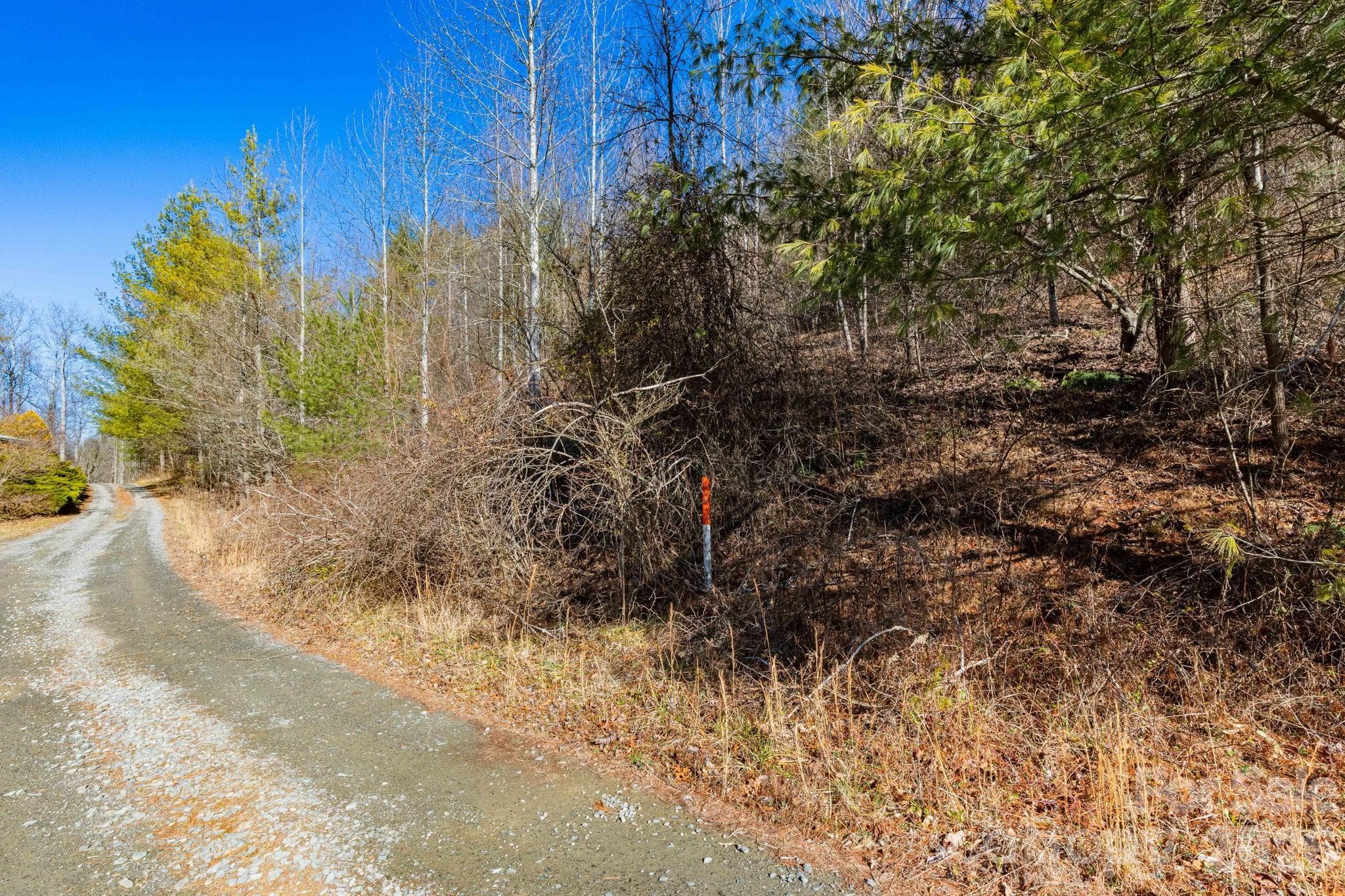 Lot at Waynesville, photo 3 of 7