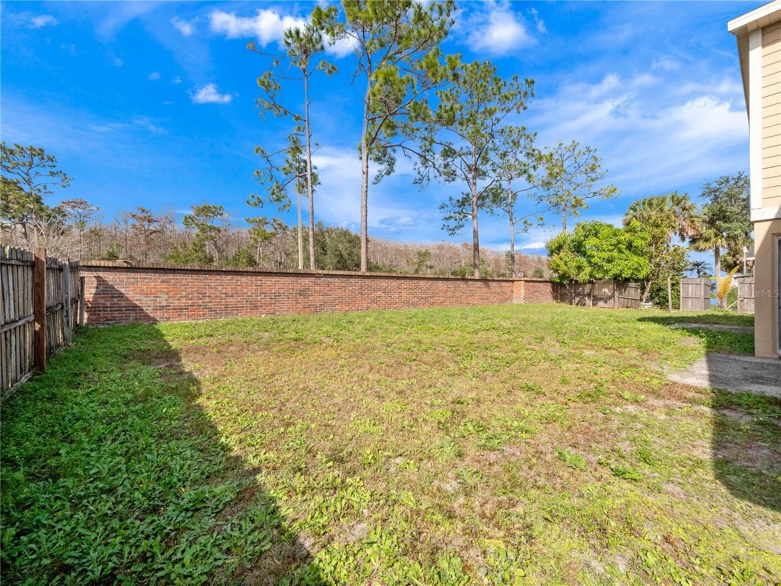 Back Yard - 14904 WILD WOOD LILY CT, ORLANDO