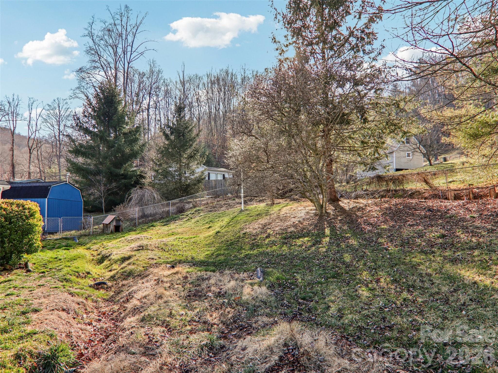 Fenced backyard with grassy yard area and storage shed - 7 Landon Mountain Lane, Weaverville