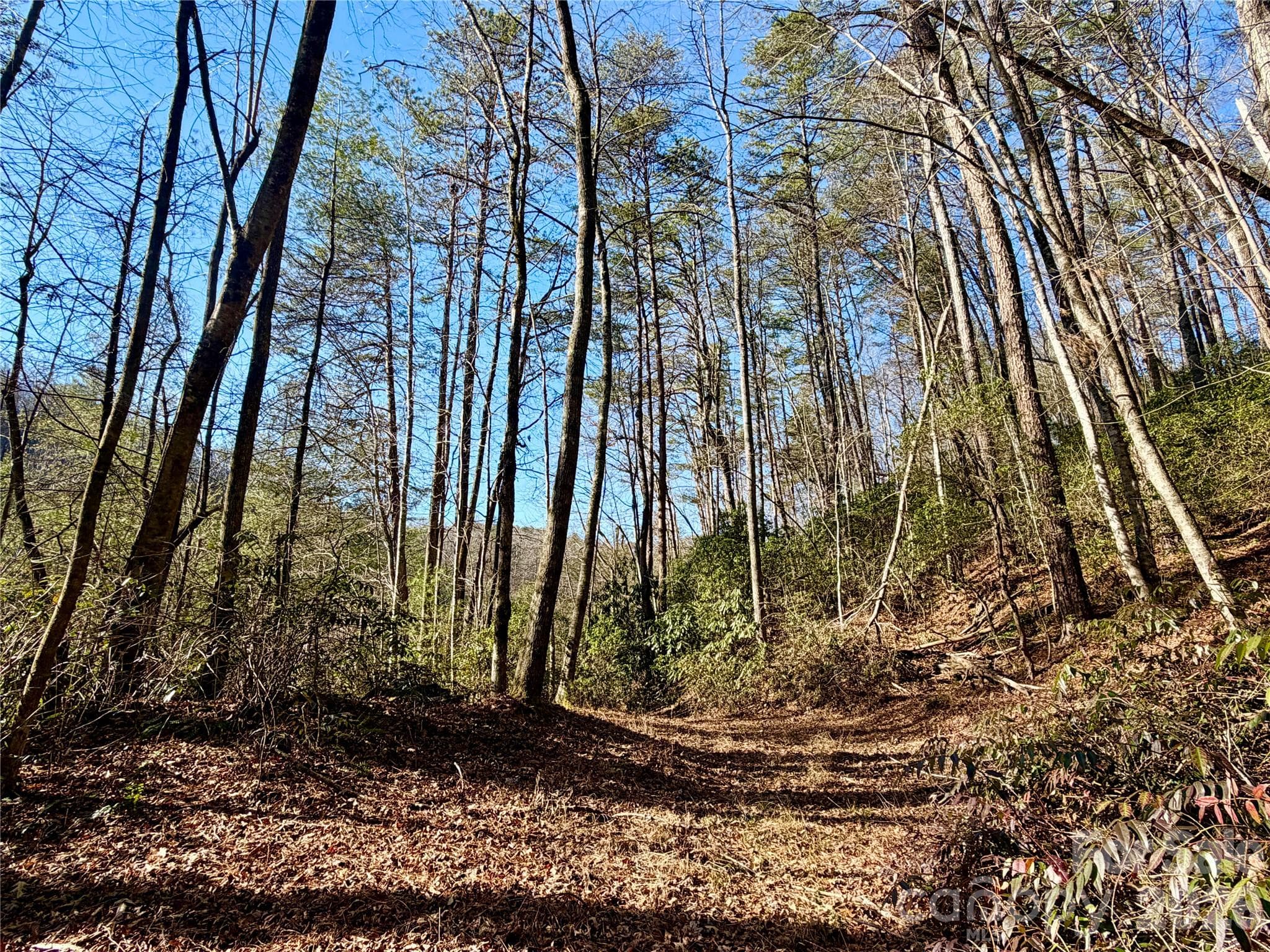 Lot at Brevard, photo 19 of 20
