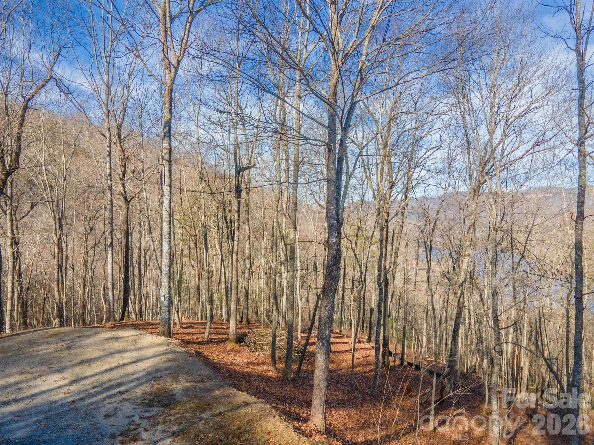 Lot at 762 Scarlet Oak Road, Tuckasegee, photo 16 of 26