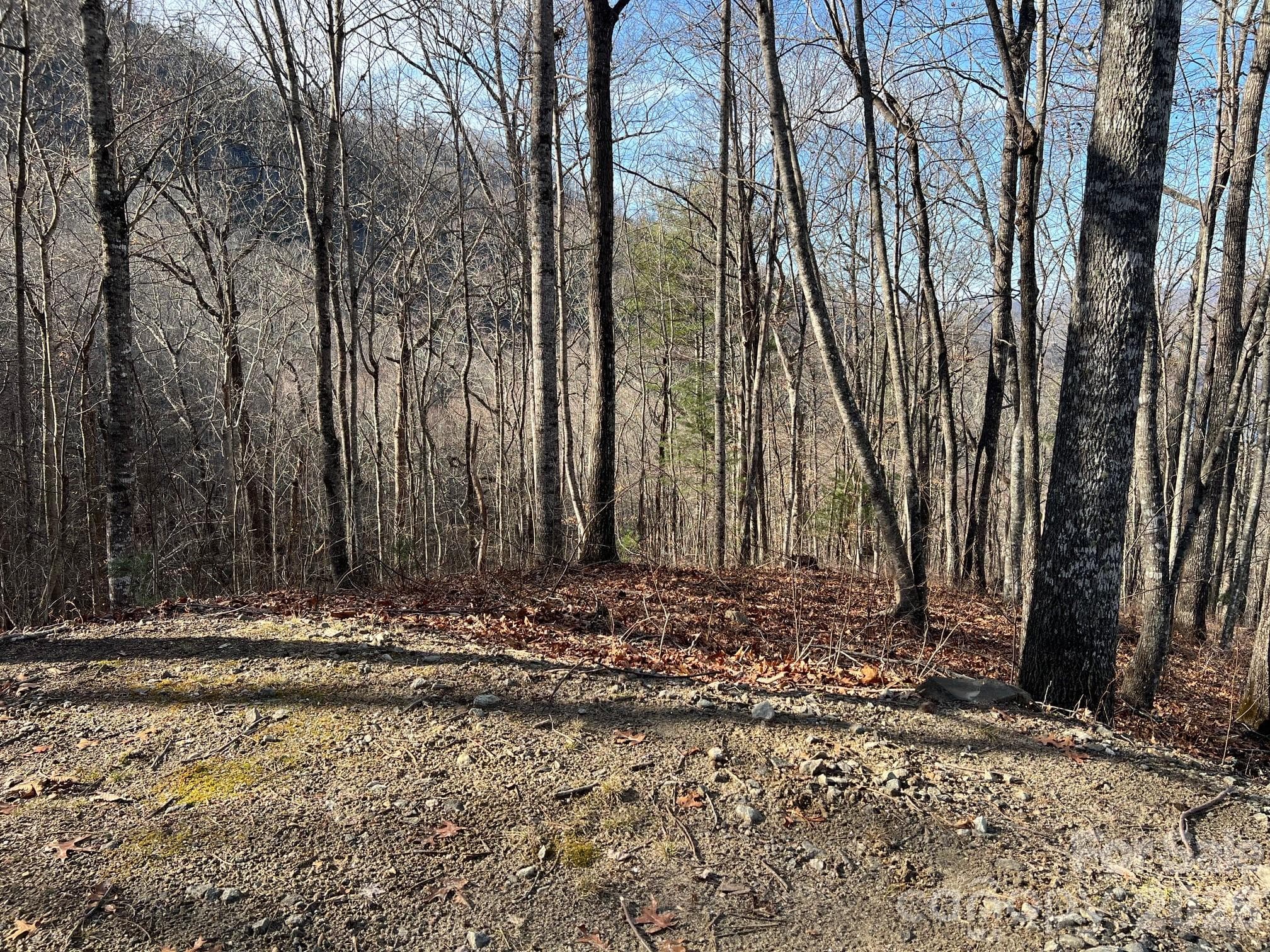 Lot at 762 Scarlet Oak Road, Tuckasegee, photo 17 of 26