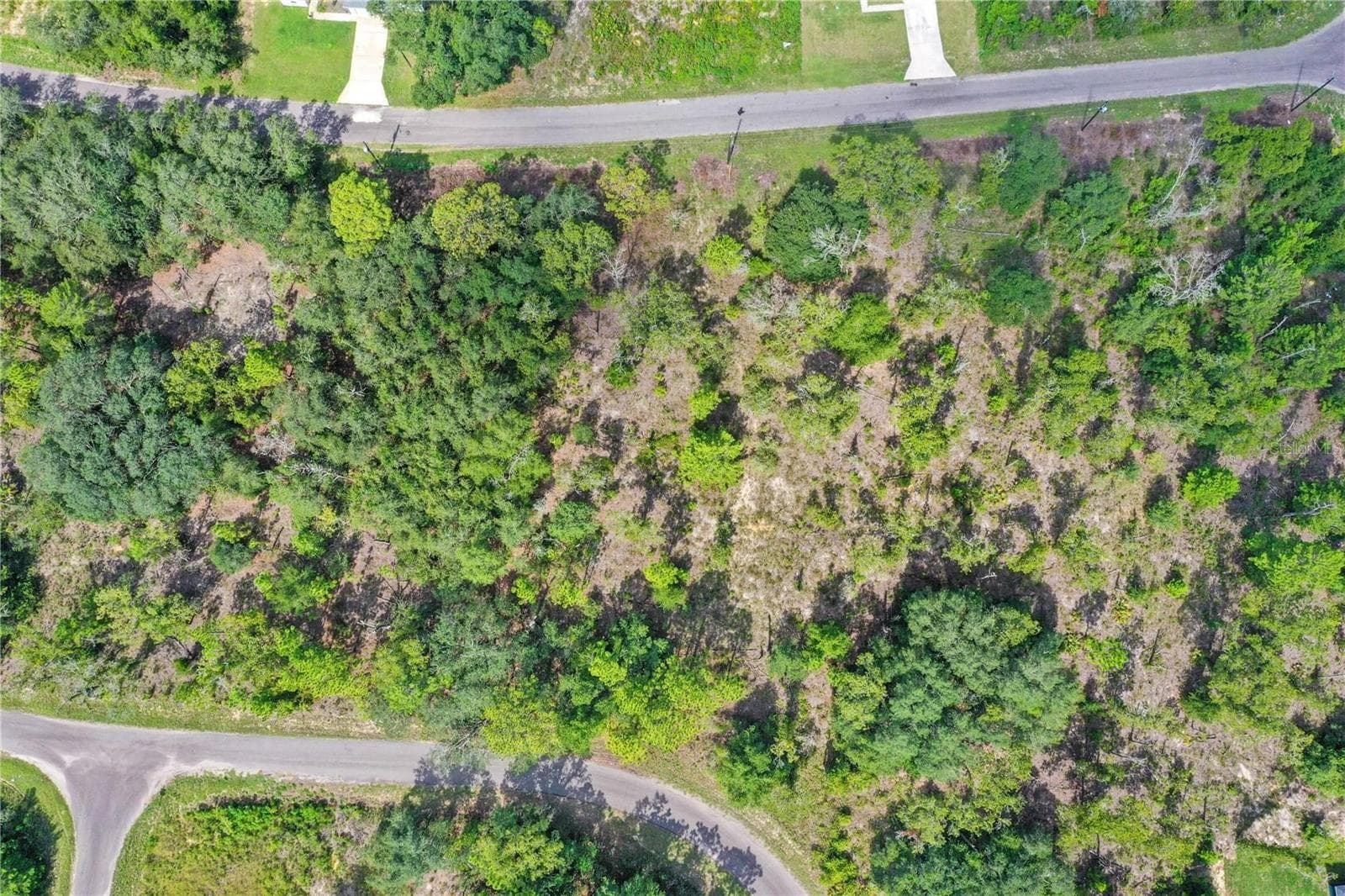 Land at 0024 GUAVA PASS DR, OCKLAWAHA, photo 3 of 24