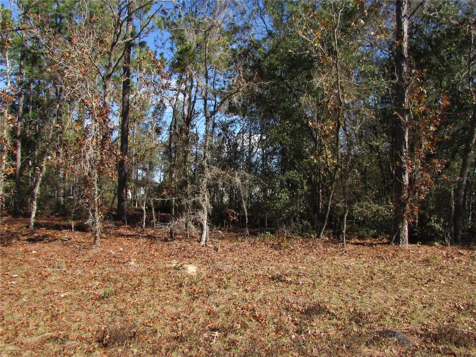 Lot 18 SW 156 ST