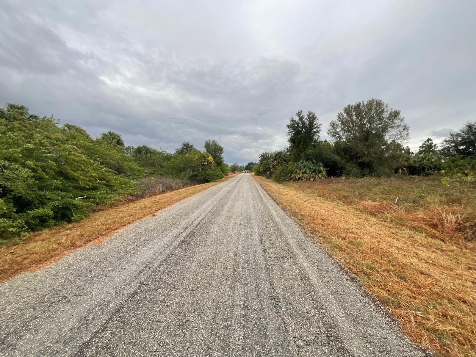 Land at 1610 SCOTT AVE, LEHIGH ACRES, photo 5 of 7