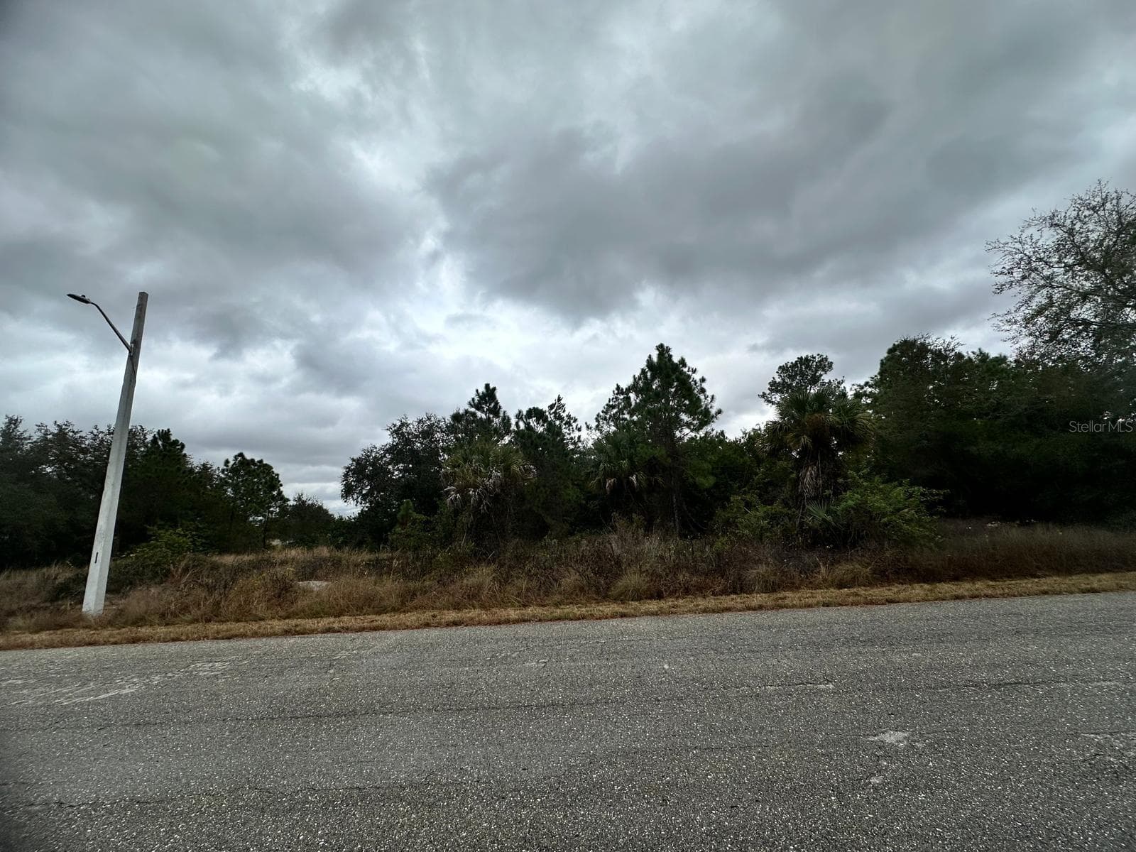 Land at 1610 SCOTT AVE, LEHIGH ACRES, photo 6 of 7