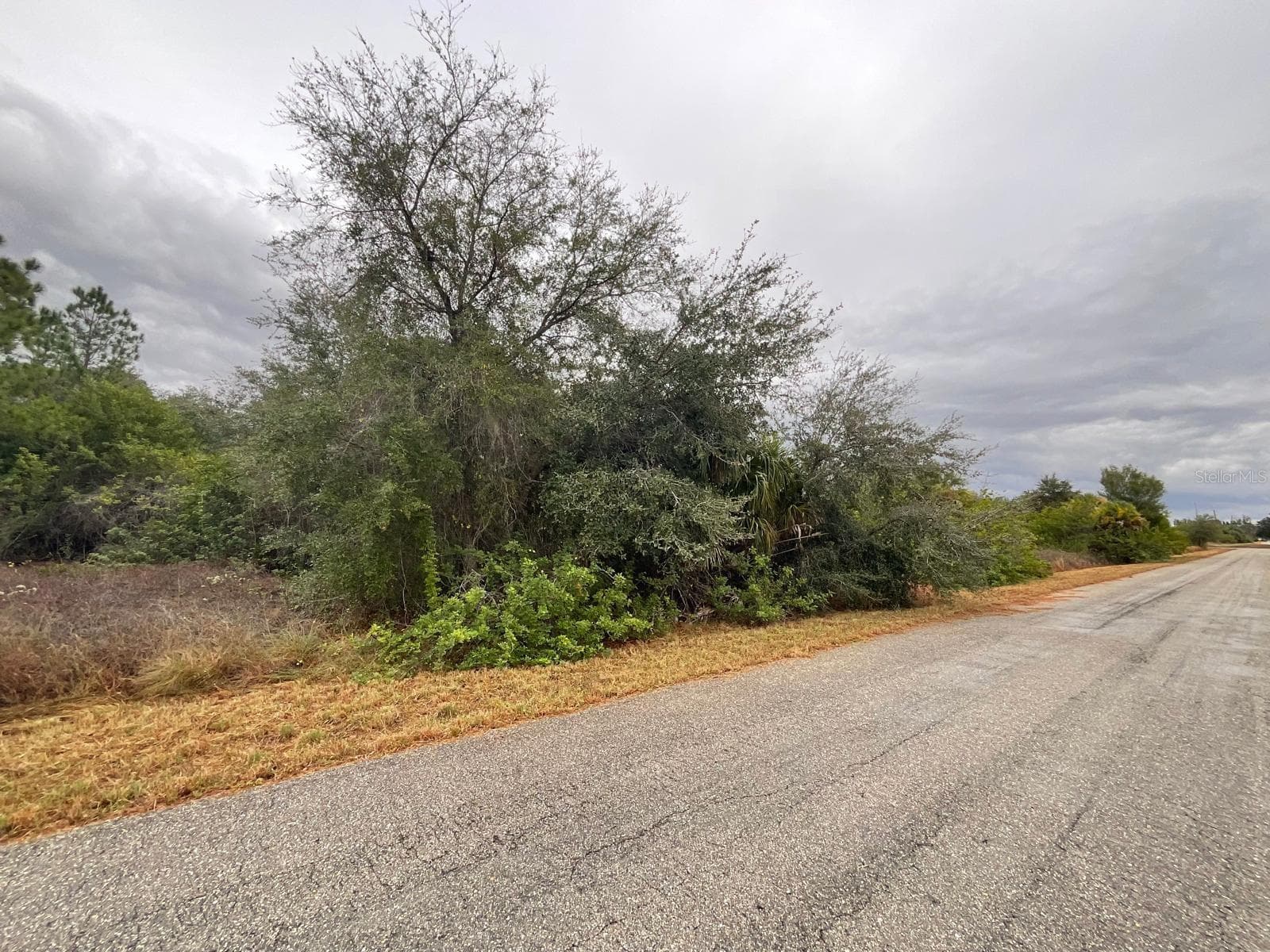 Land at 1608 SCOTT AVE, LEHIGH ACRES, photo 3 of 6