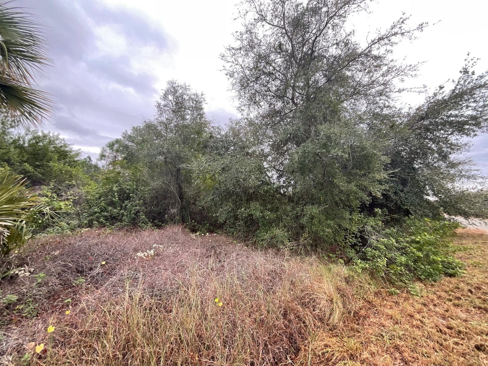 Land at 1608 SCOTT AVE, LEHIGH ACRES, photo 2 of 6