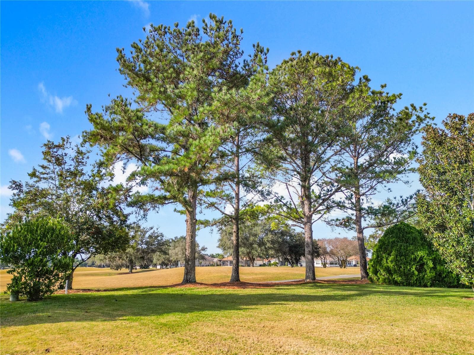 Yard and view toward Golf Course - 16816 SE 85TH SAPELO CT, THE VILLAGES