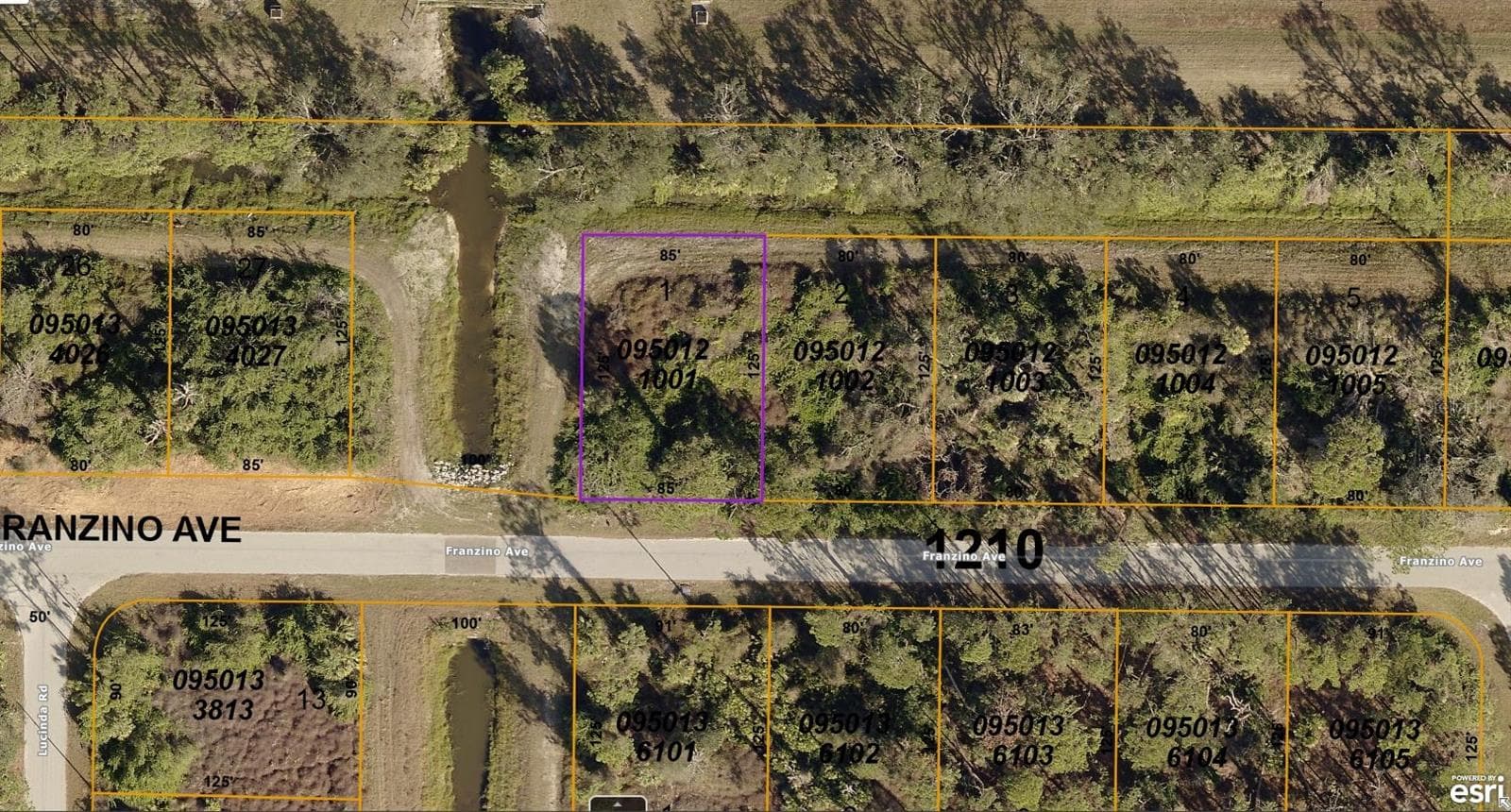 0950121001 FRANZINO AVE