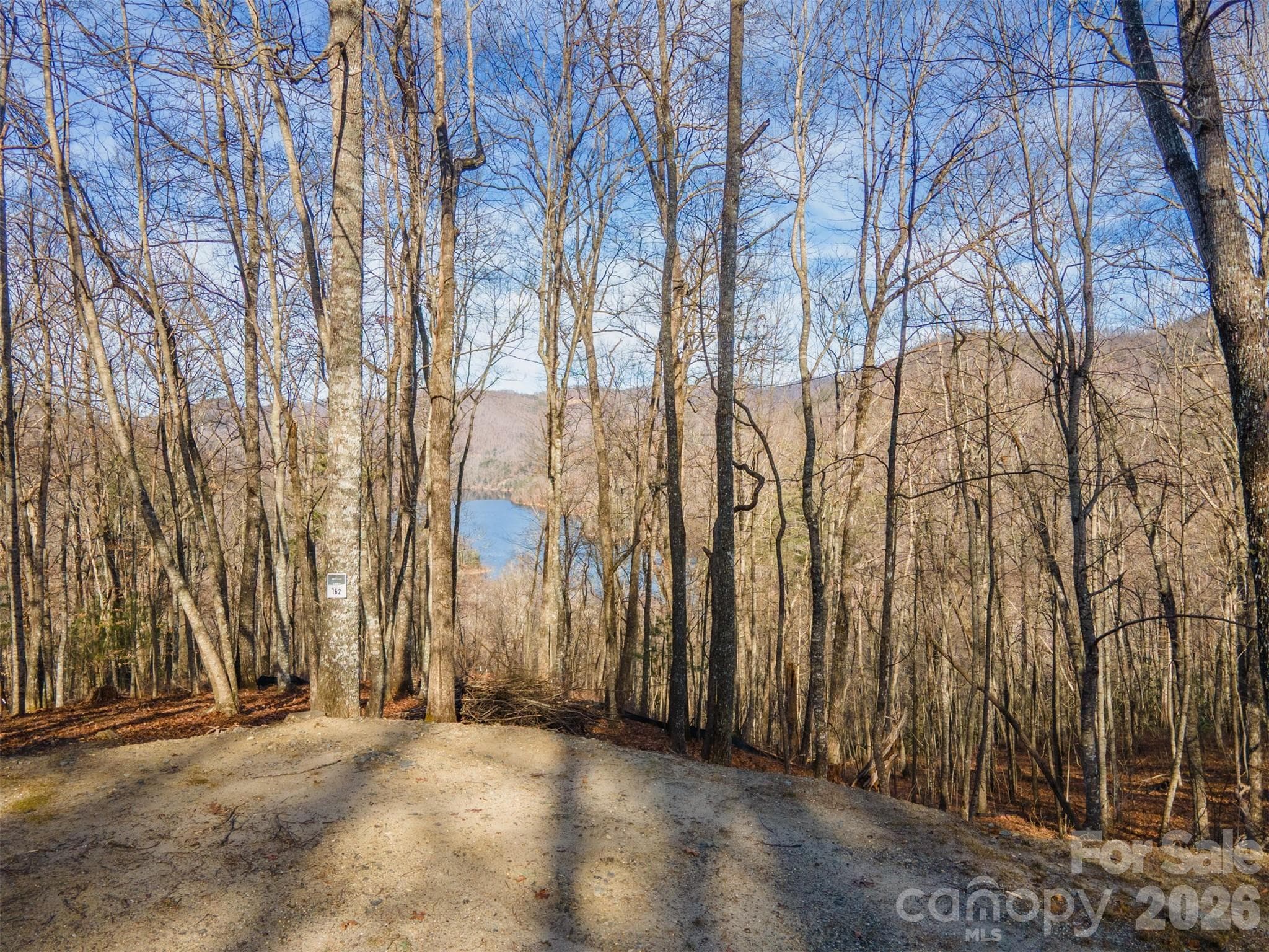 Lot at 762 Scarlet Oak Road, Tuckasegee, photo 9 of 26