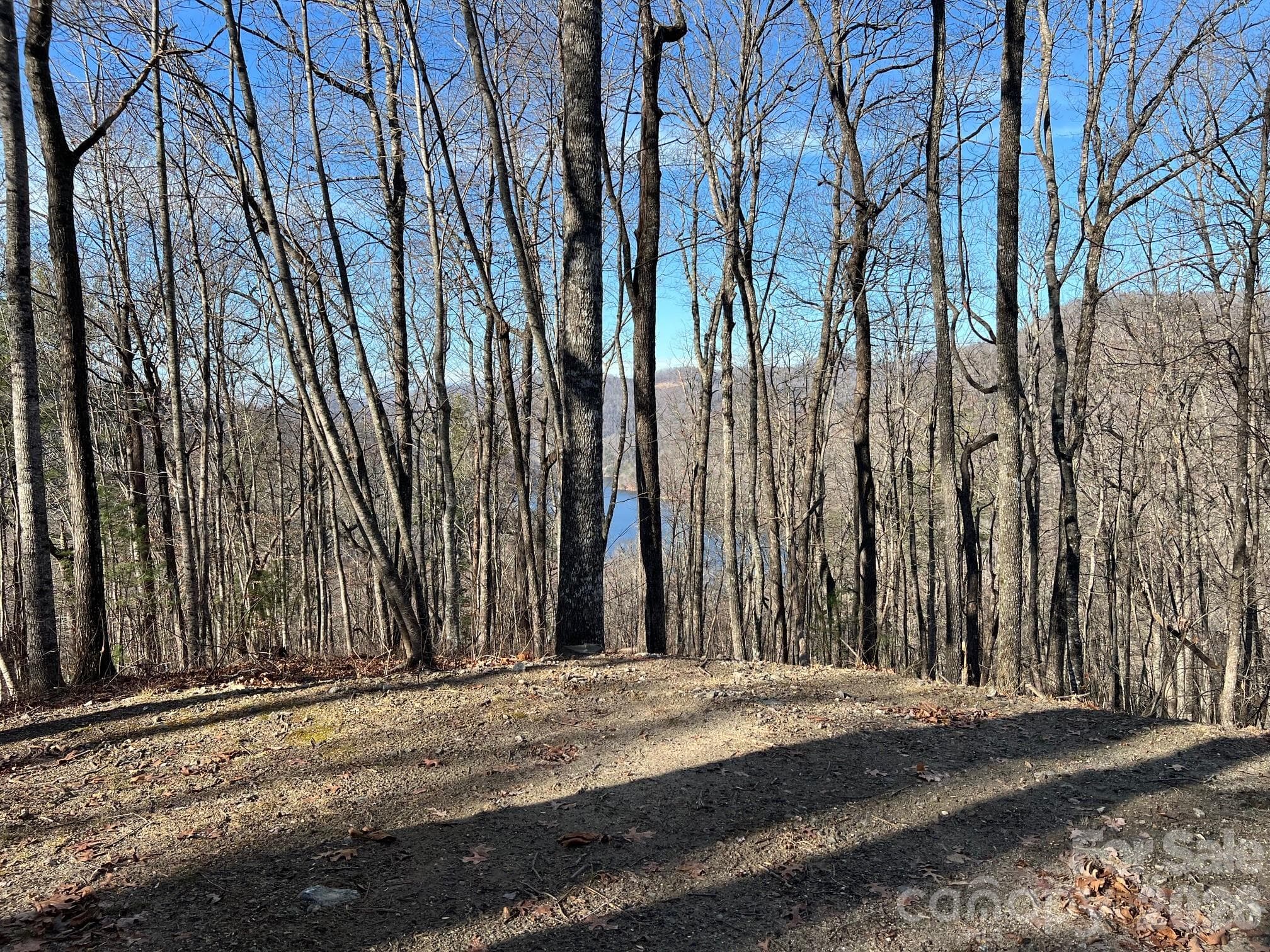 Lot at 762 Scarlet Oak Road, Tuckasegee, photo 10 of 26