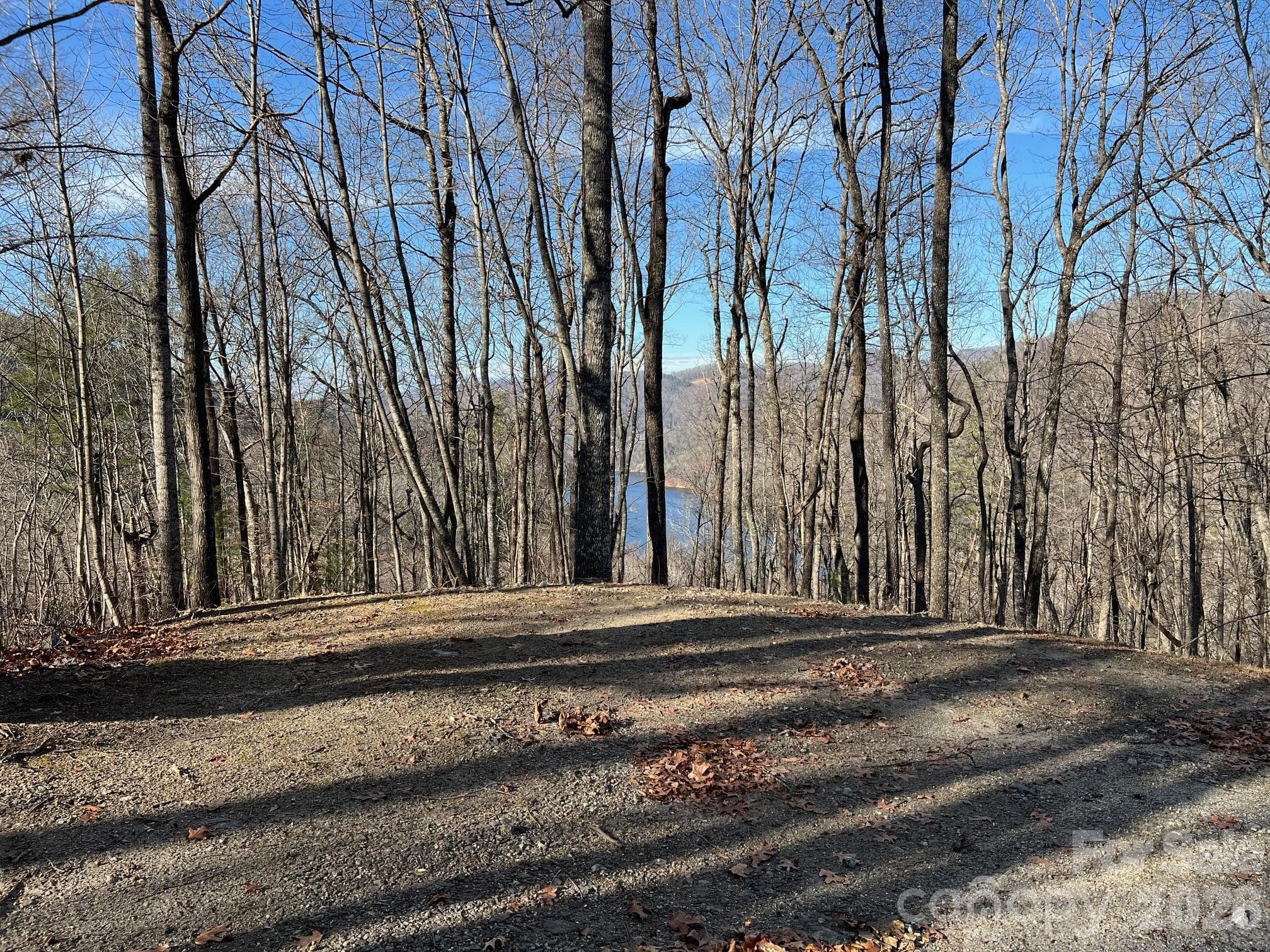 Lot at 762 Scarlet Oak Road, Tuckasegee, photo 11 of 26