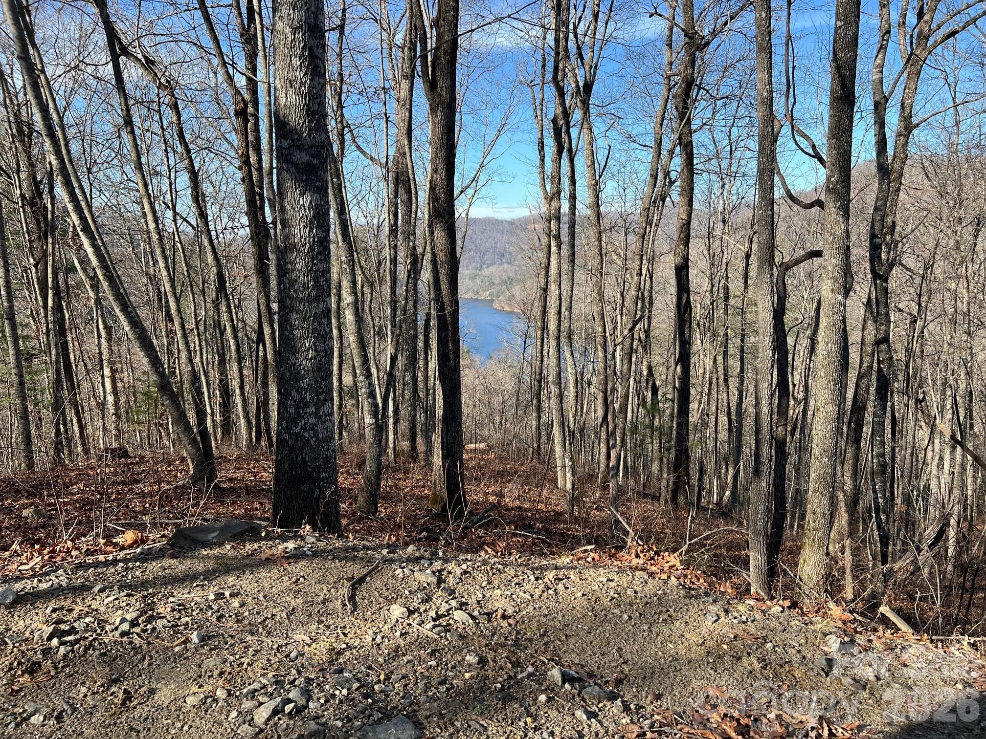 Lot at 762 Scarlet Oak Road, Tuckasegee, photo 12 of 26