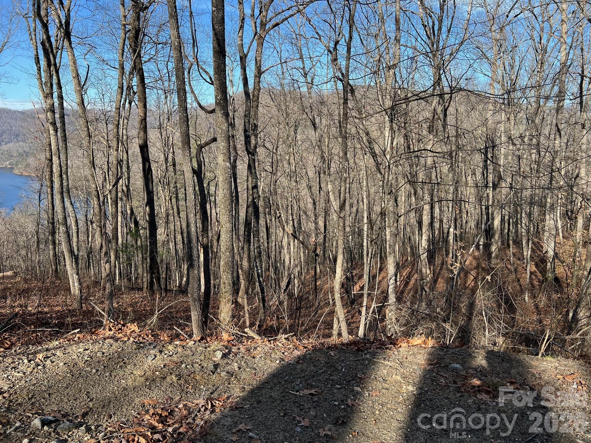 Lot at 762 Scarlet Oak Road, Tuckasegee, photo 13 of 26