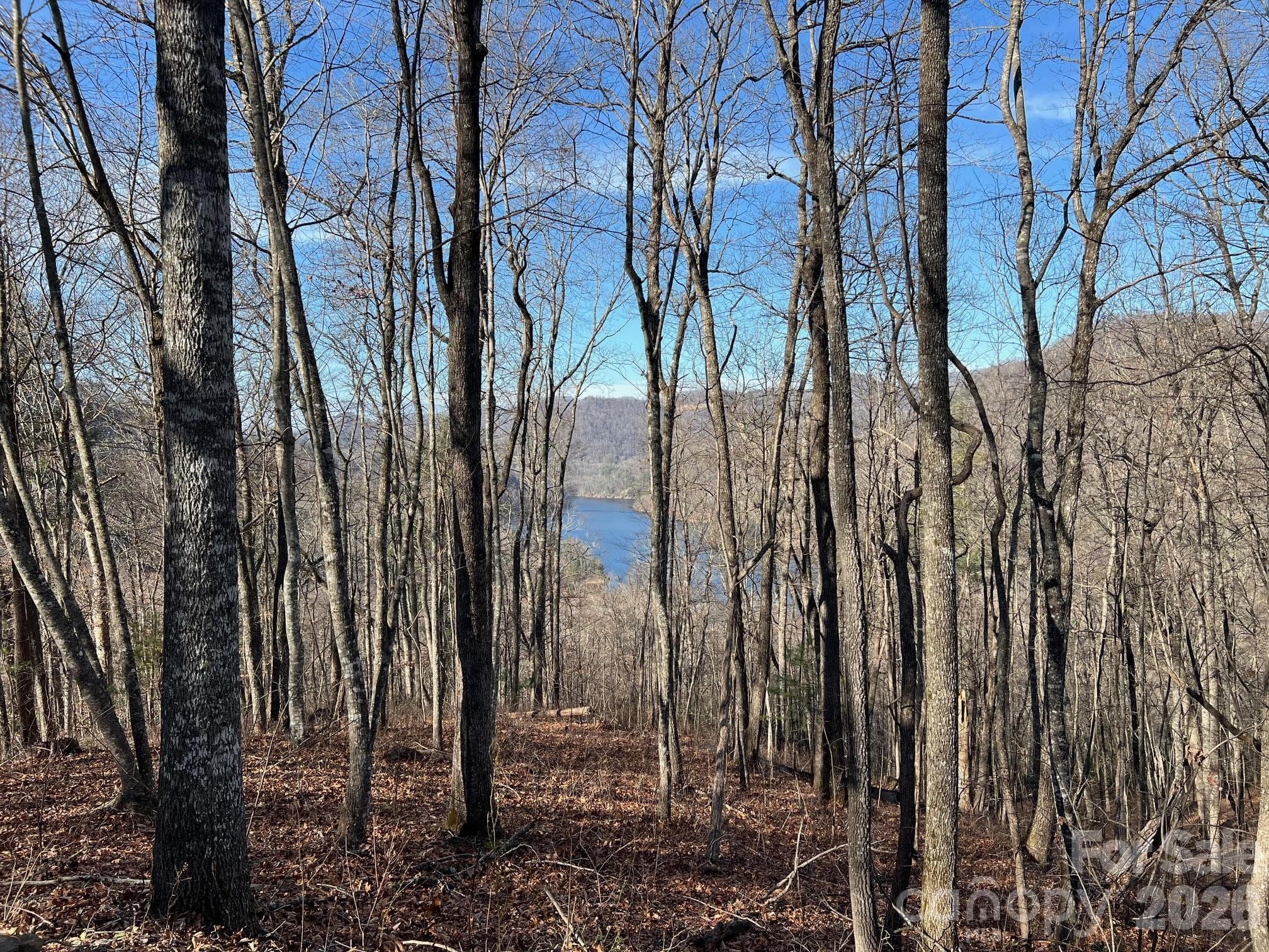 Lot at 762 Scarlet Oak Road, Tuckasegee, photo 14 of 26
