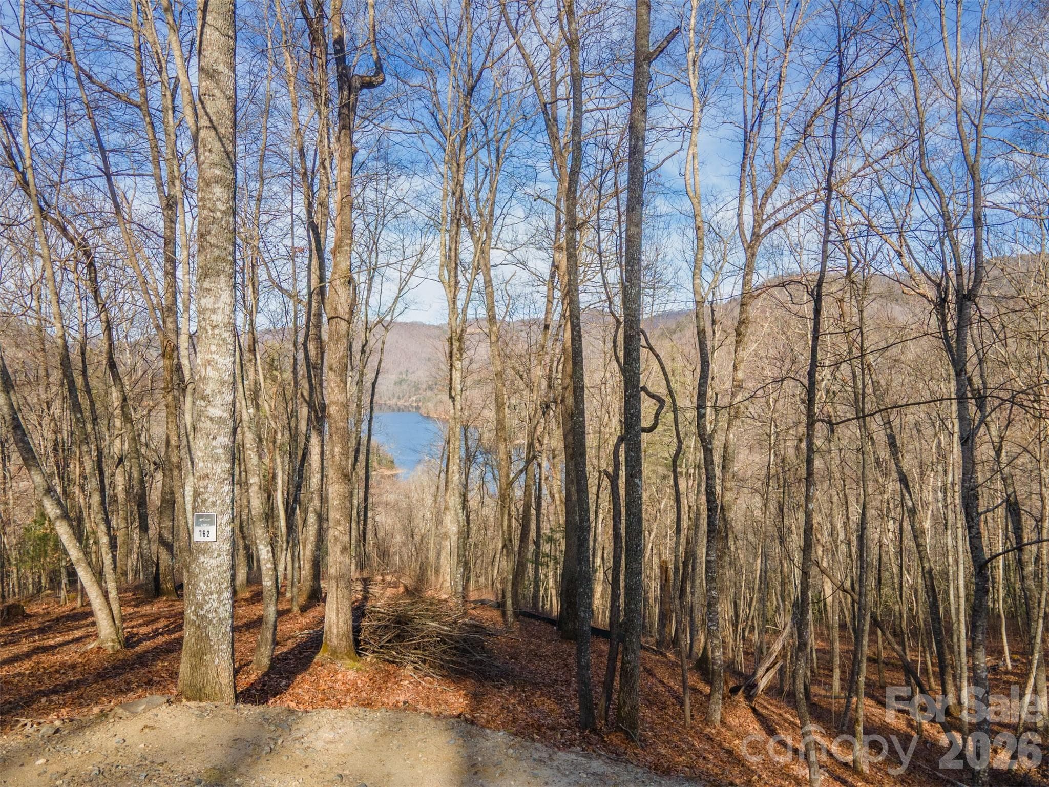 Lot at 762 Scarlet Oak Road, Tuckasegee, photo 15 of 26