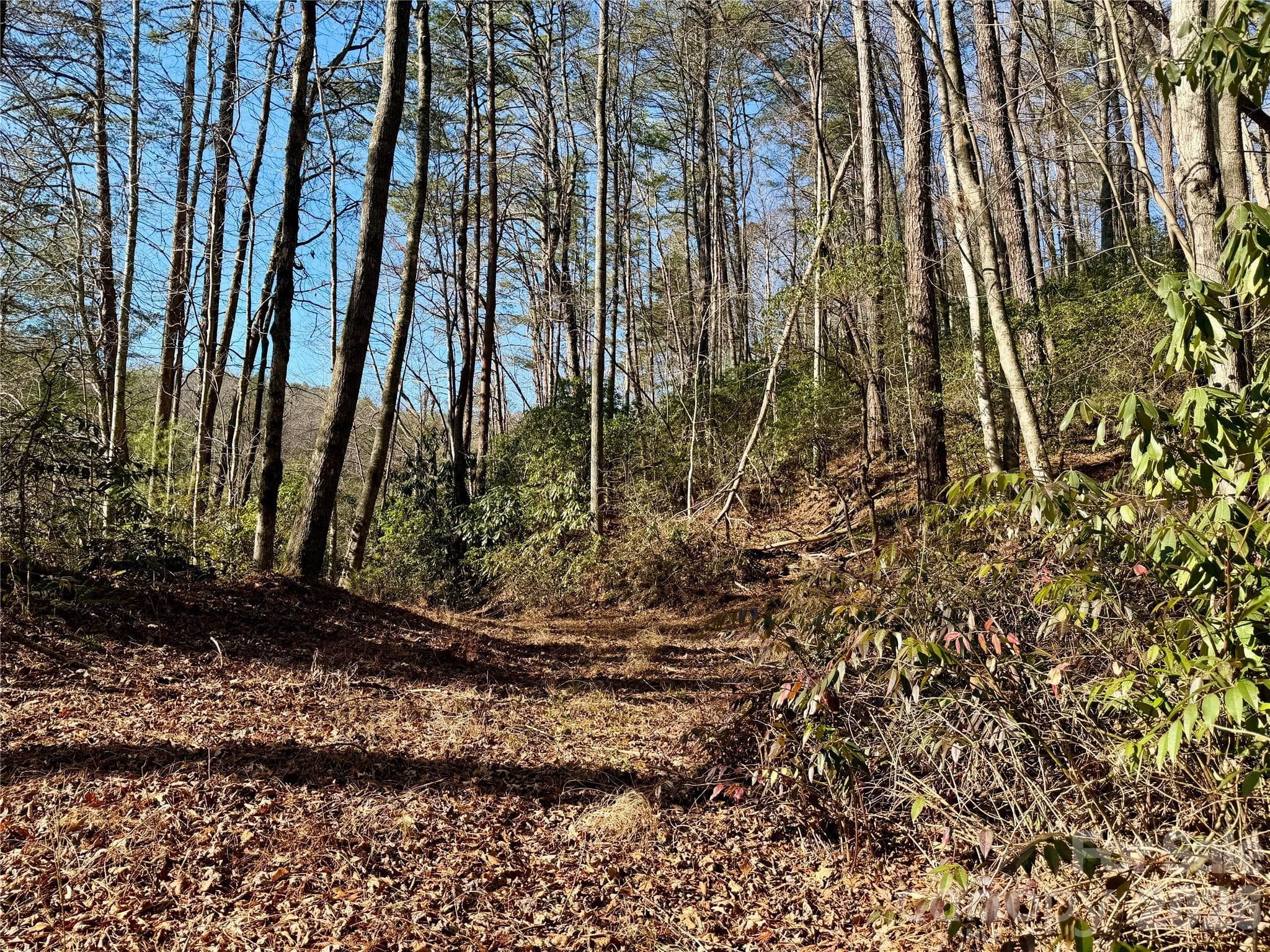 Lot at Brevard, photo 2 of 20