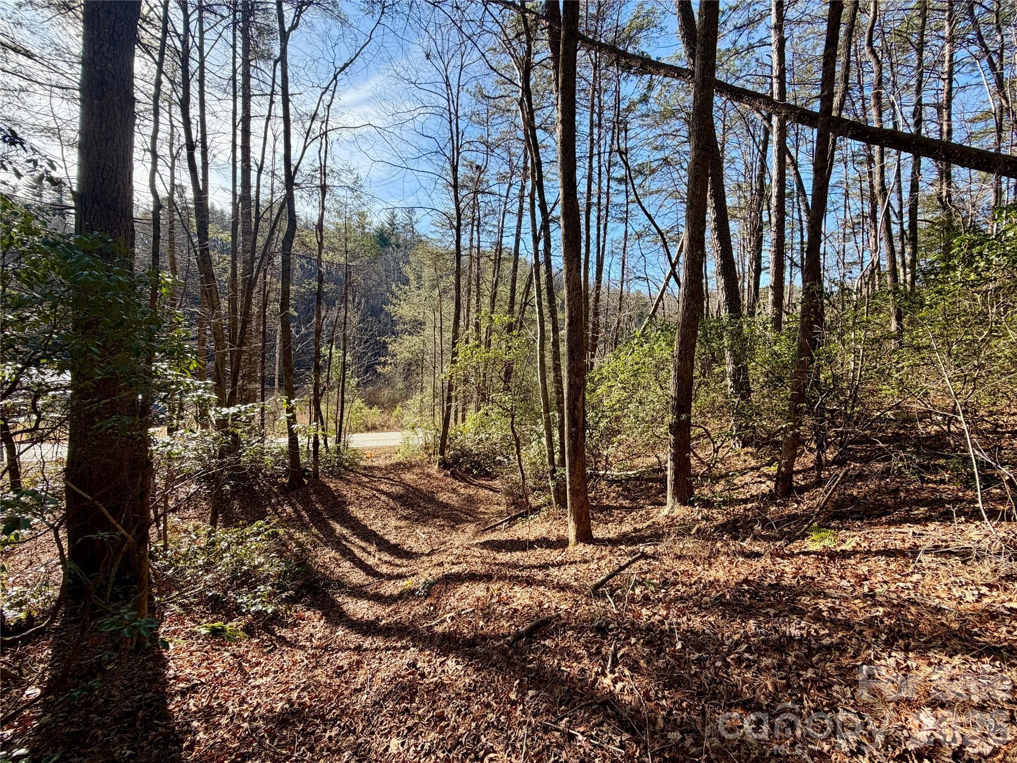 Lot at Brevard, photo 3 of 20