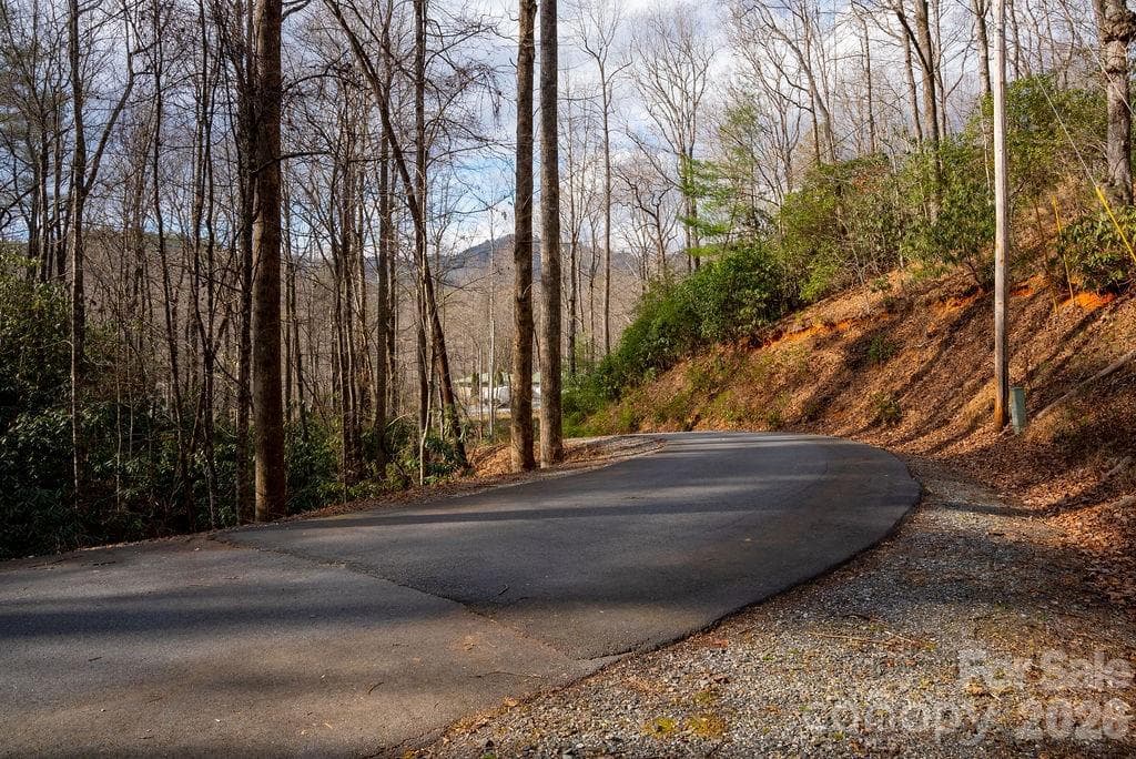 Lot at Brevard, photo 4 of 20