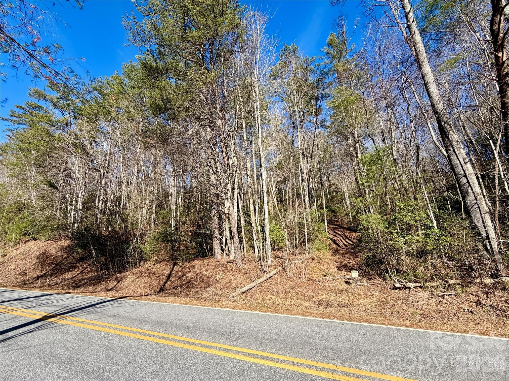 Lot at Brevard, photo 5 of 20