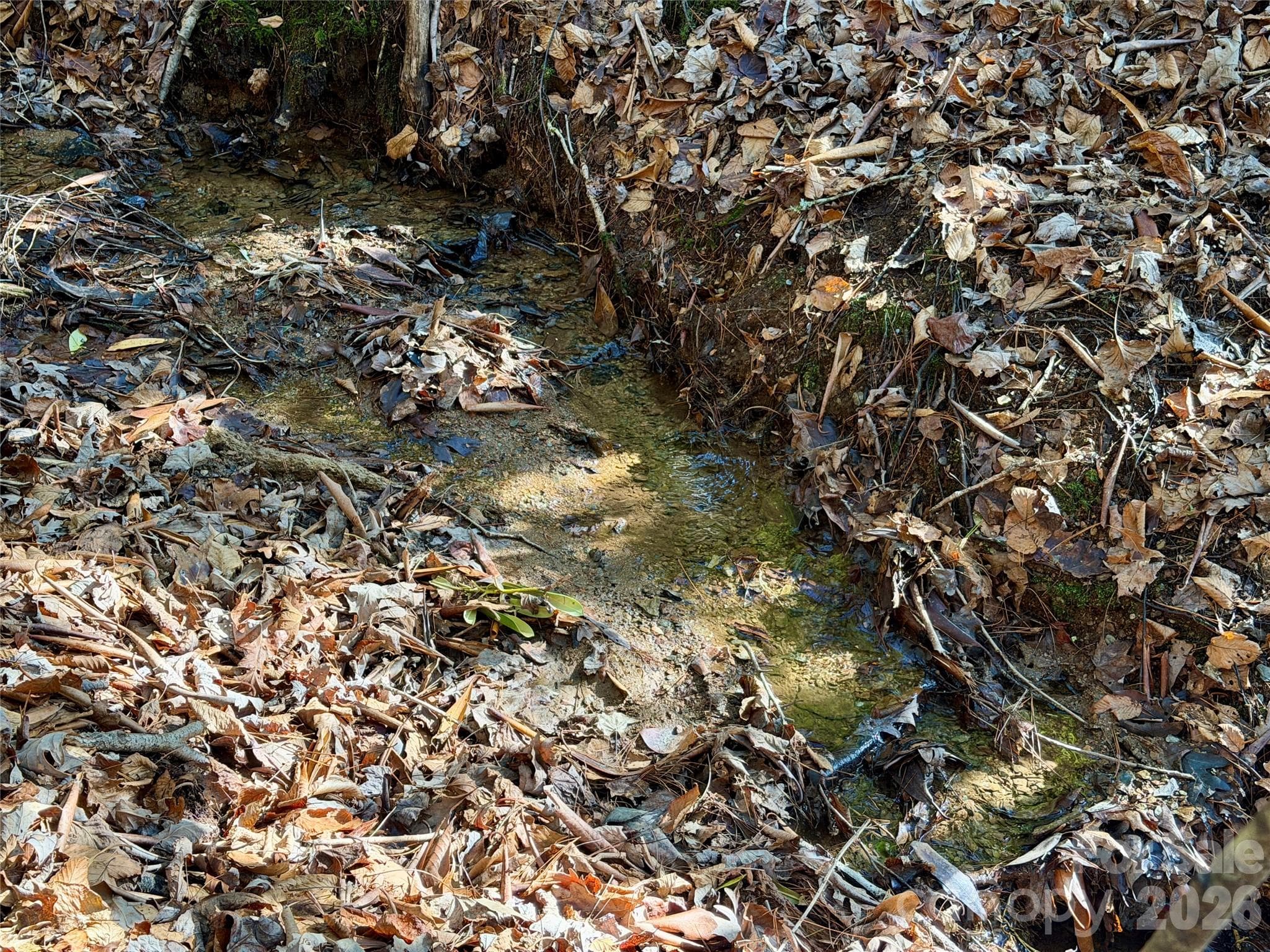 Lot at Brevard, photo 6 of 20